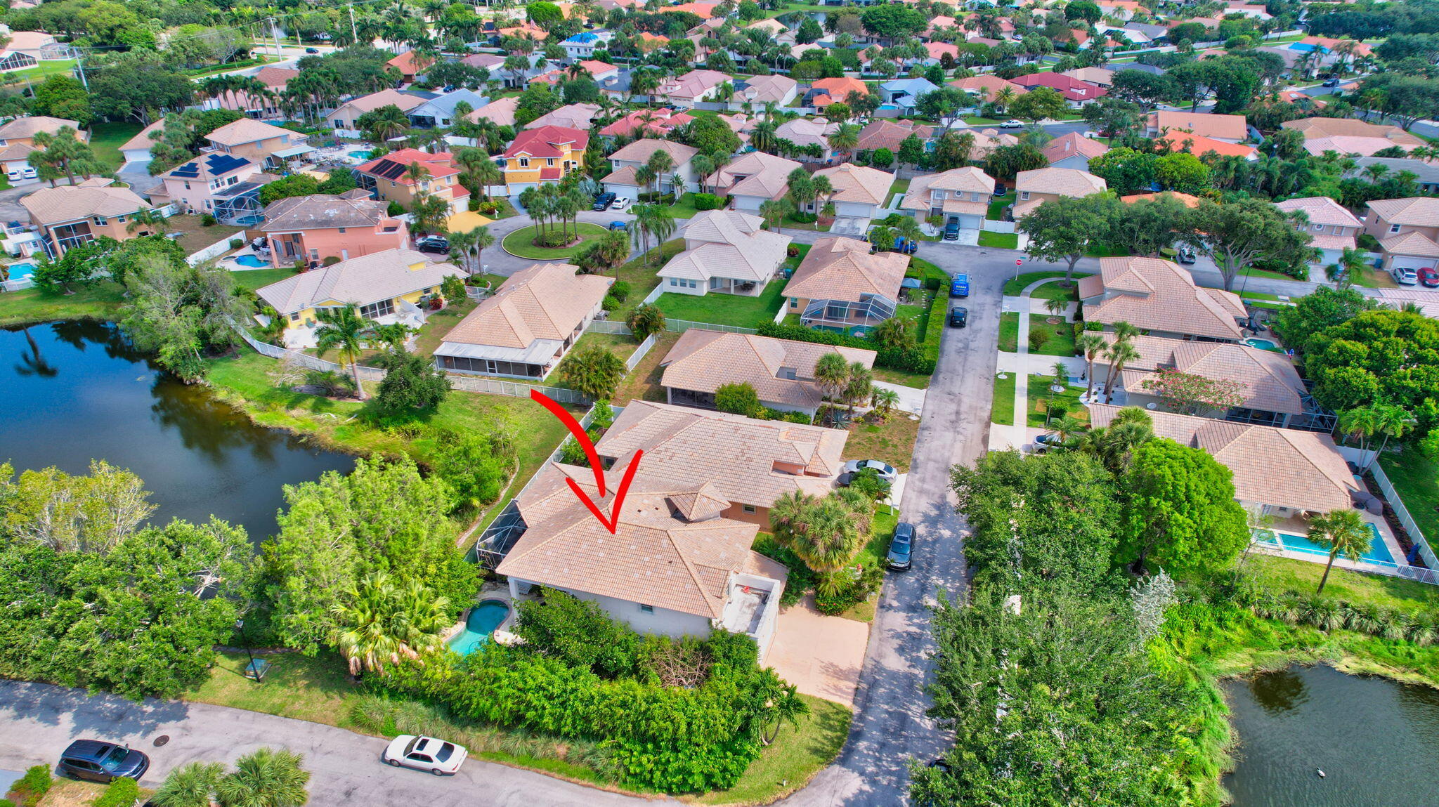 41 Citrus Park Drive