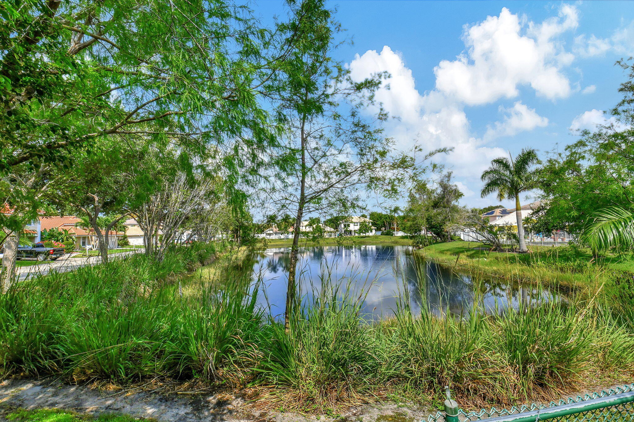 41 Citrus Park Drive