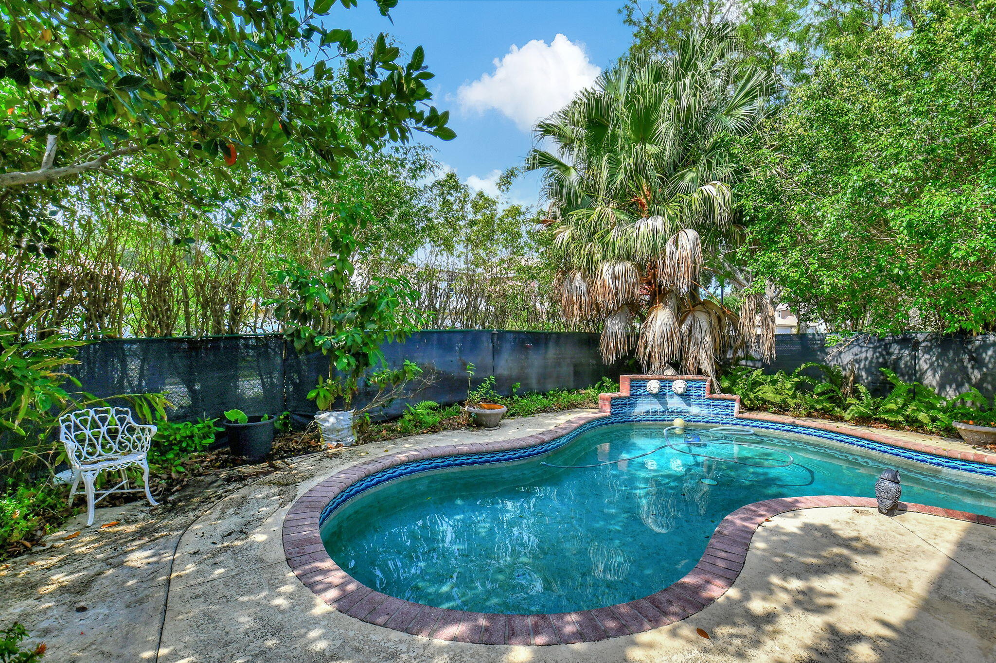 41 Citrus Park Drive