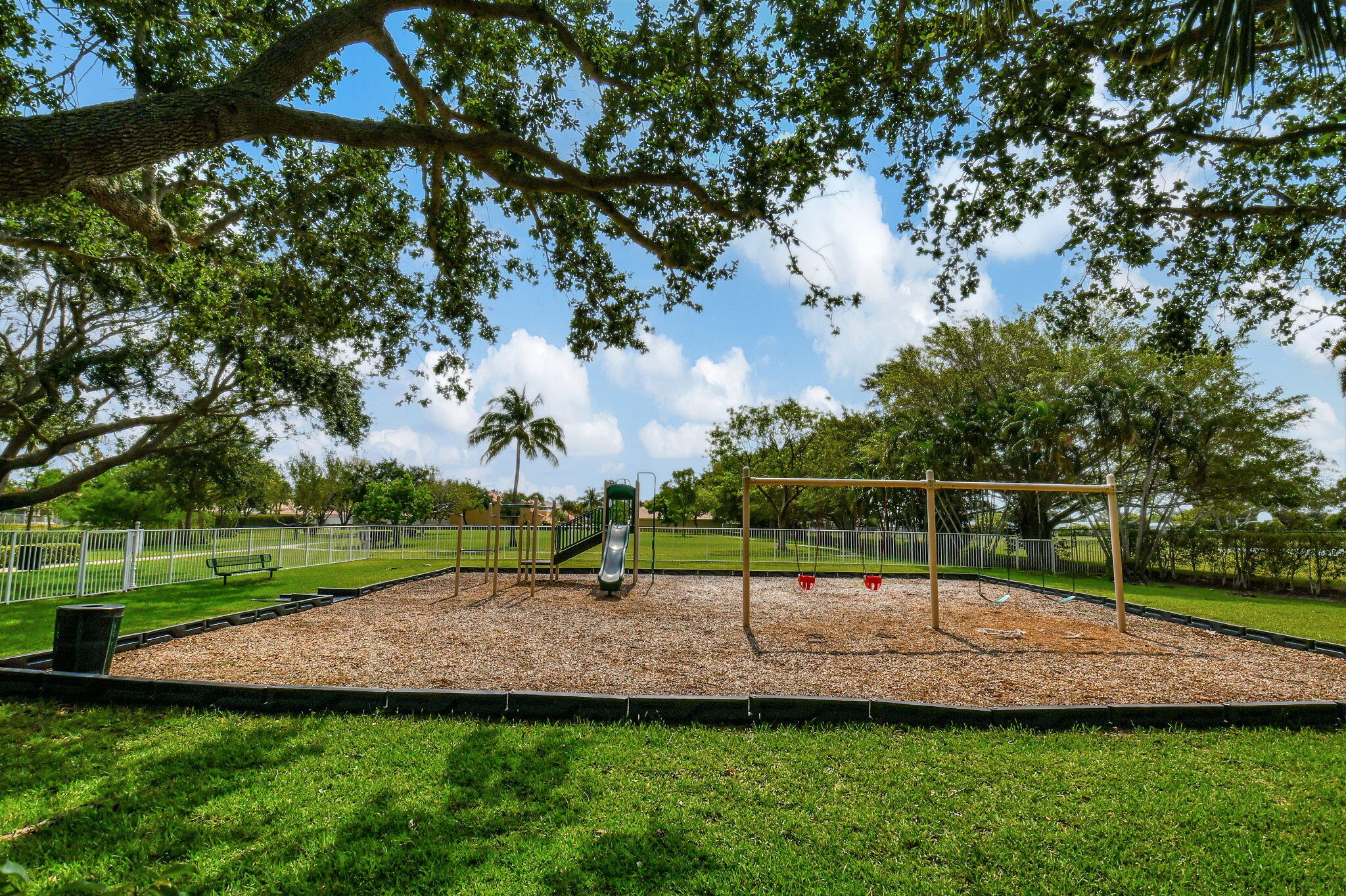 41 Citrus Park Drive