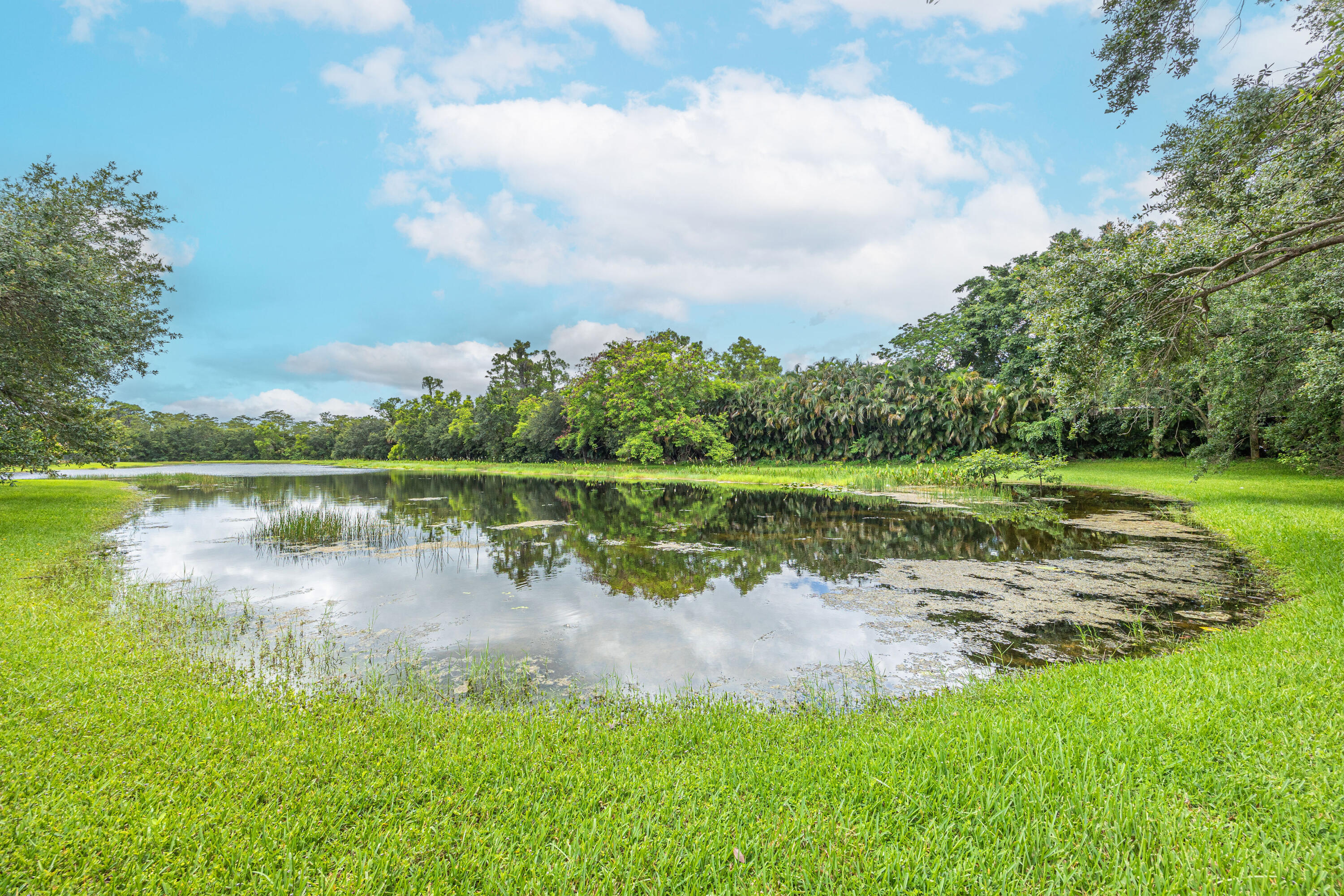 10304 Cypress Lakes Preserve Drive