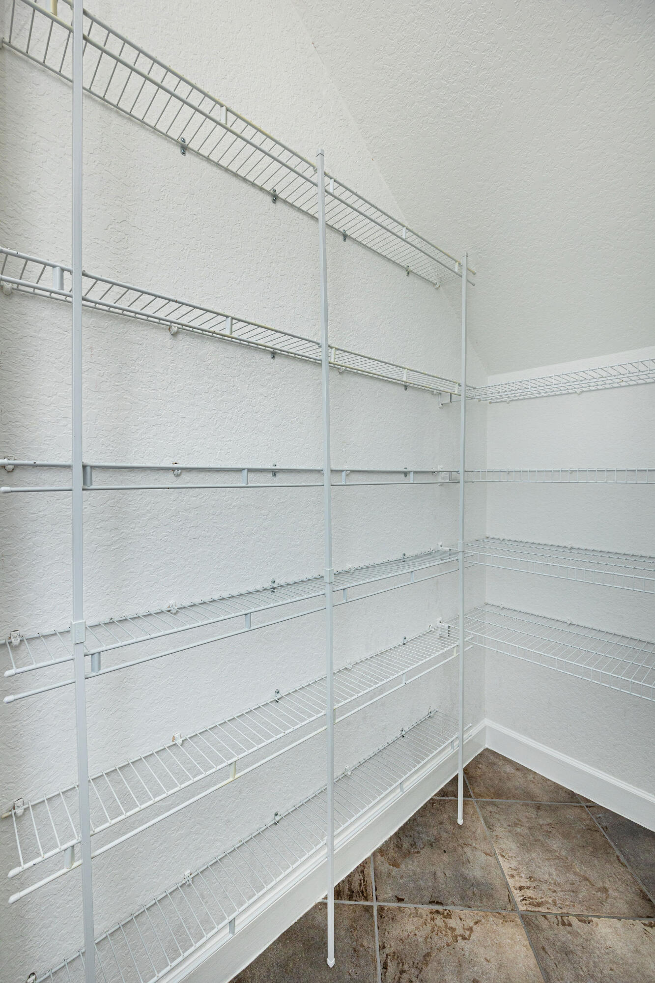 10304 Cypress Lakes Preserve Drive