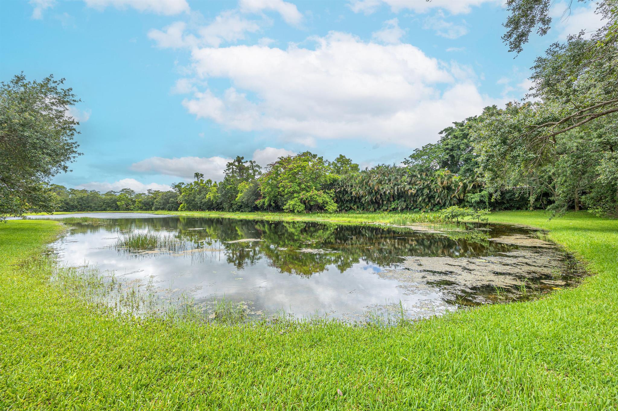 10304 Cypress Lakes Preserve Drive