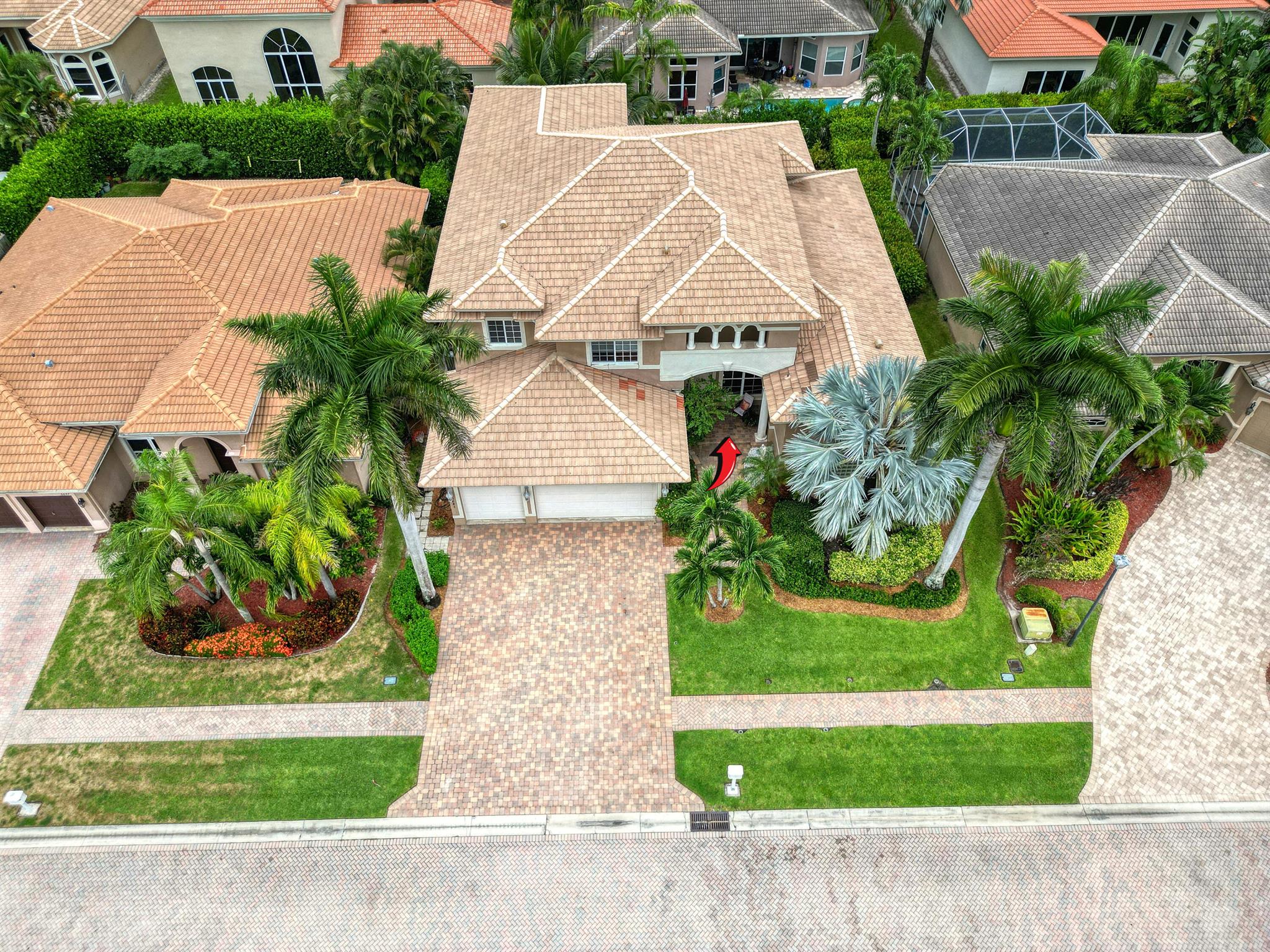 6641 Conch Court