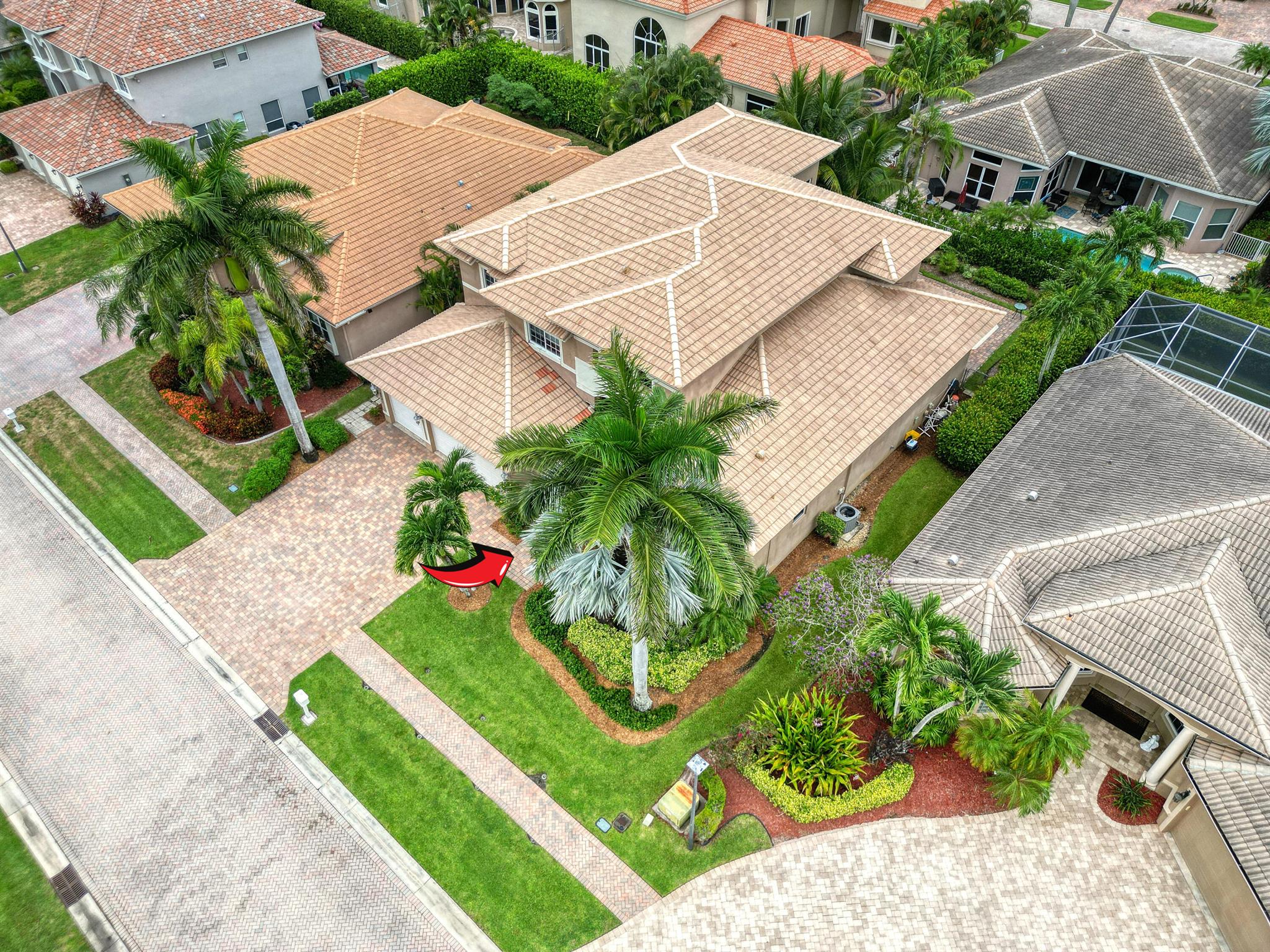 6641 Conch Court
