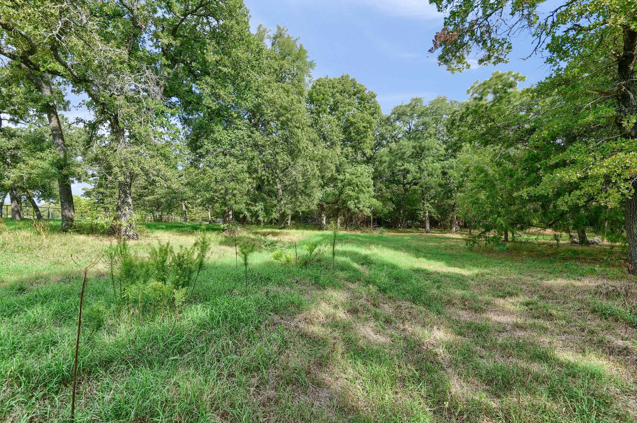 164 County Road 2114