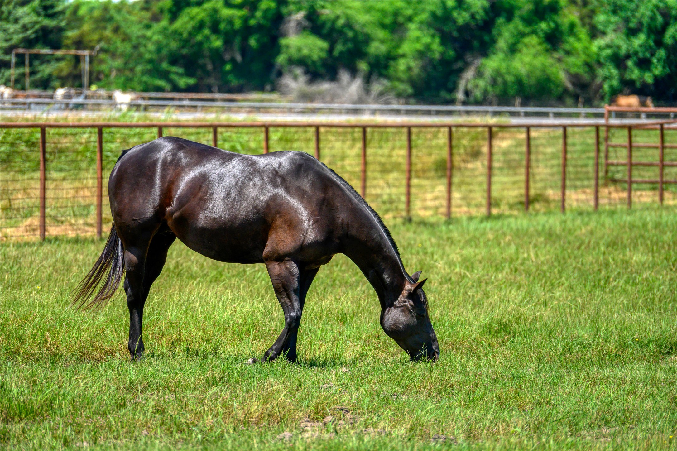 15084 US Highway 377