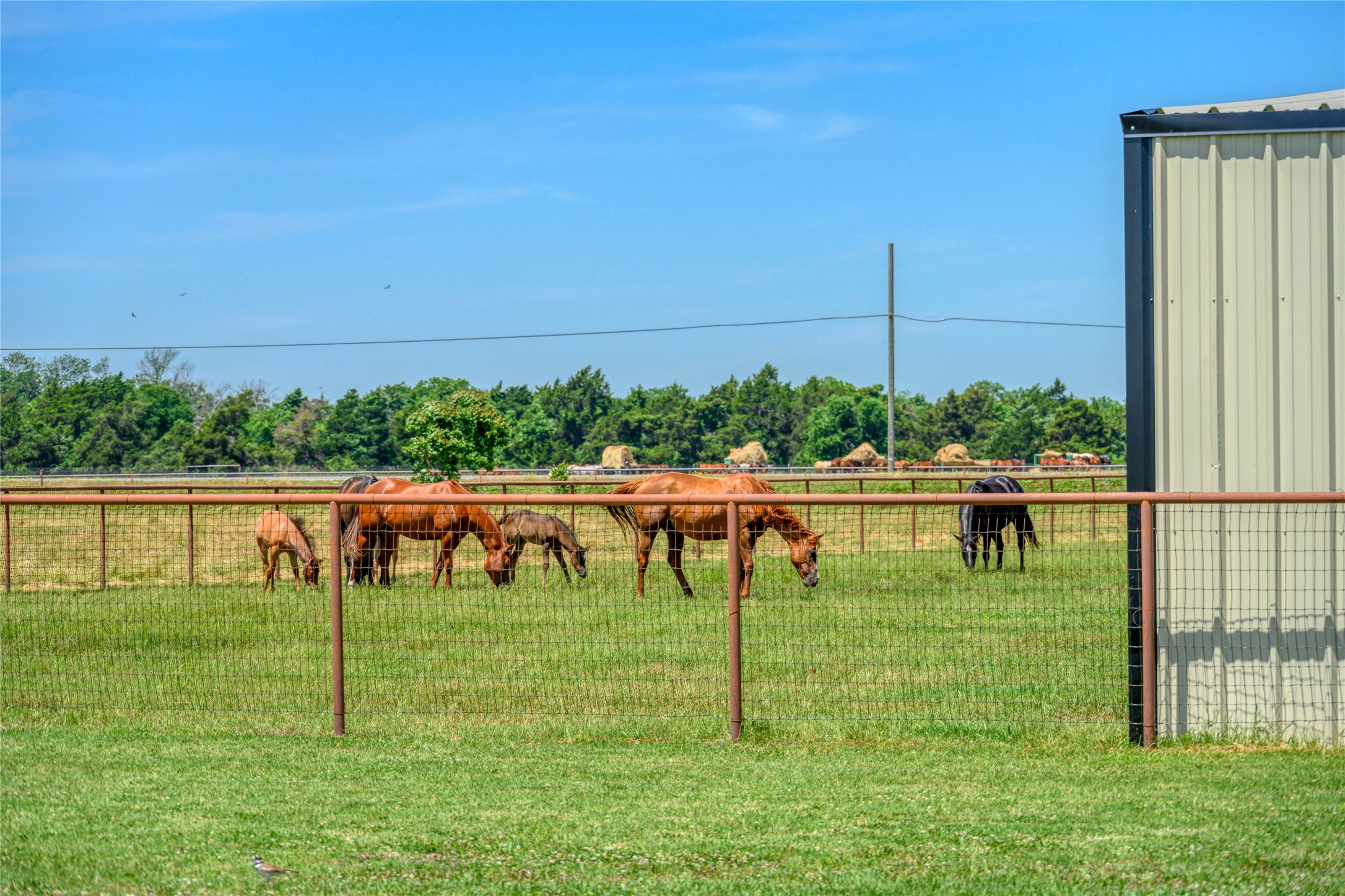 15084 US Highway 377