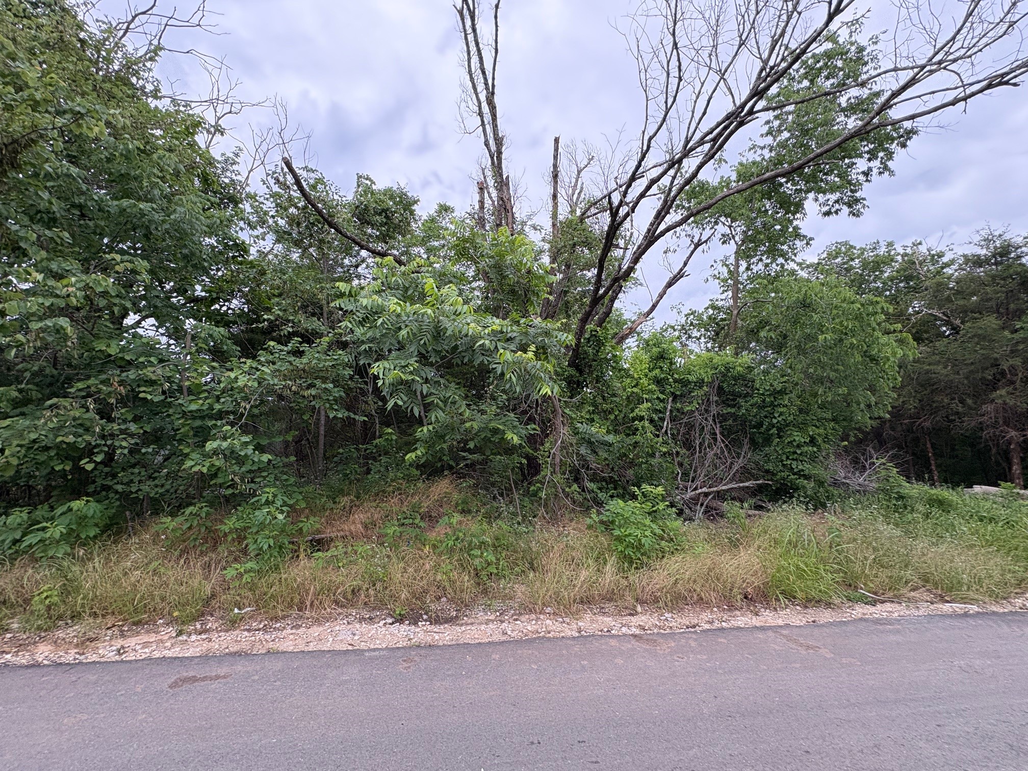 721 W Parnell Street