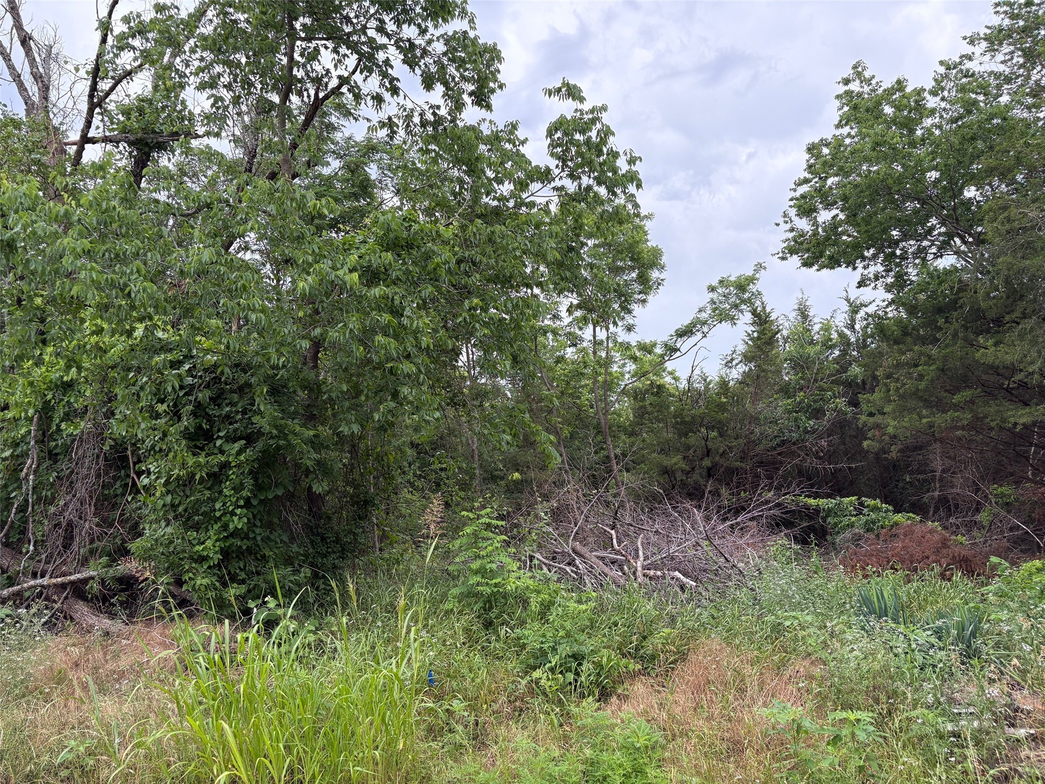 721 W Parnell Street