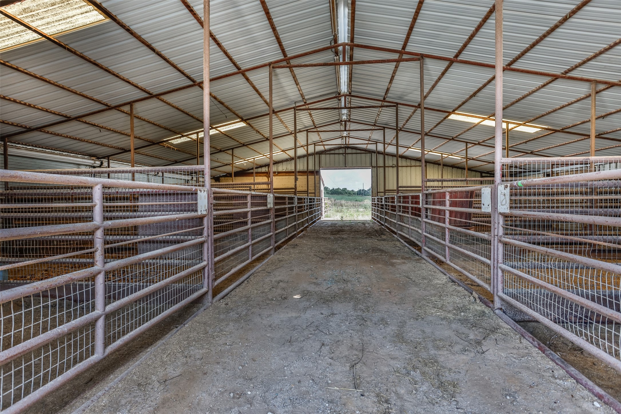 3561 NEELY Trail