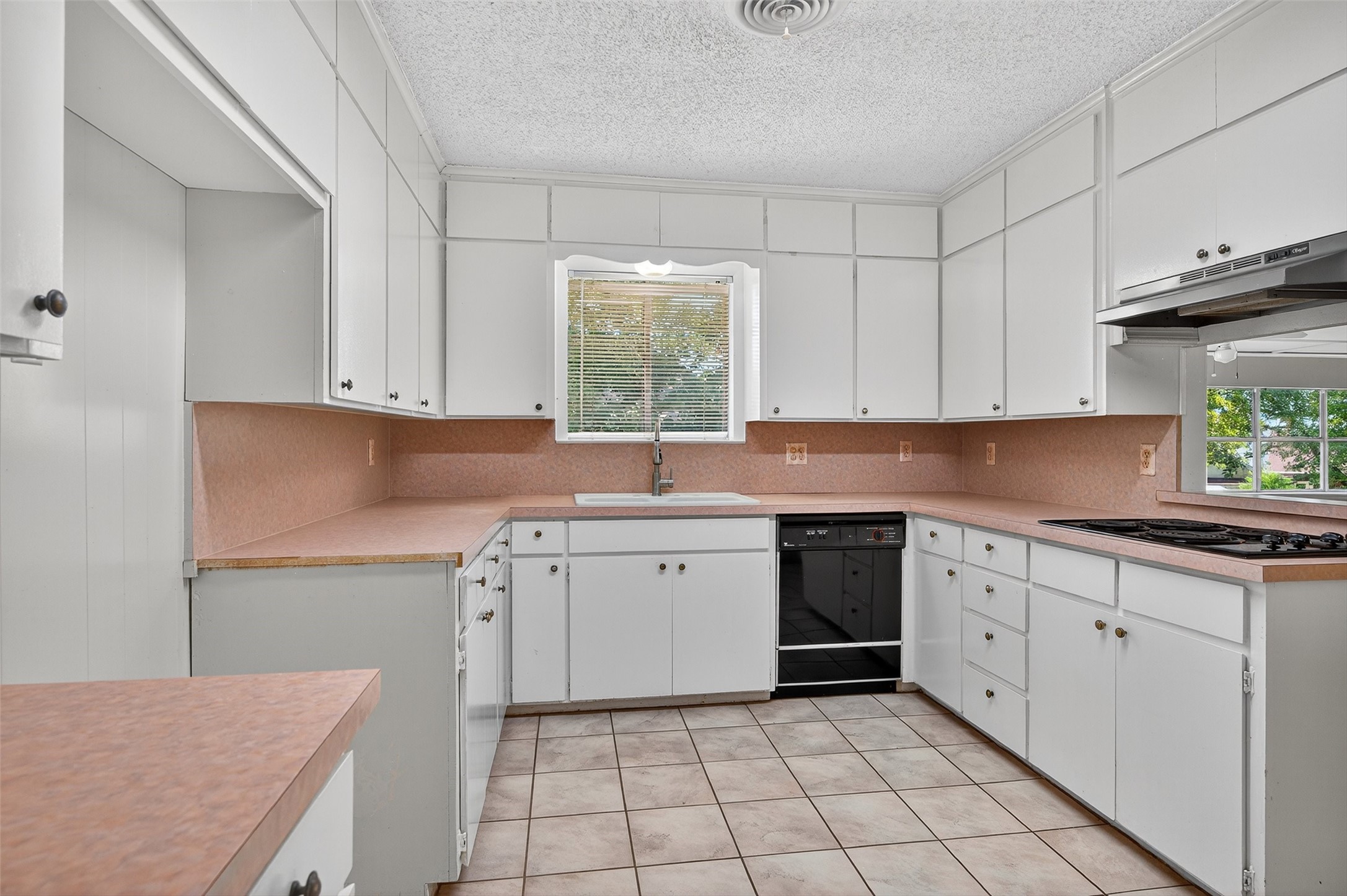 419 Cocopa Drive