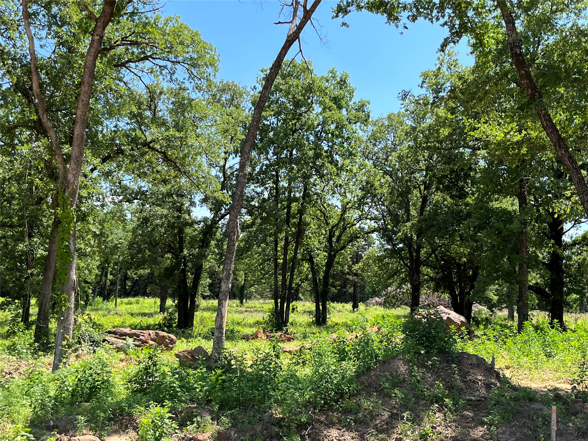 Lot 9 Kiowa Oaks Court