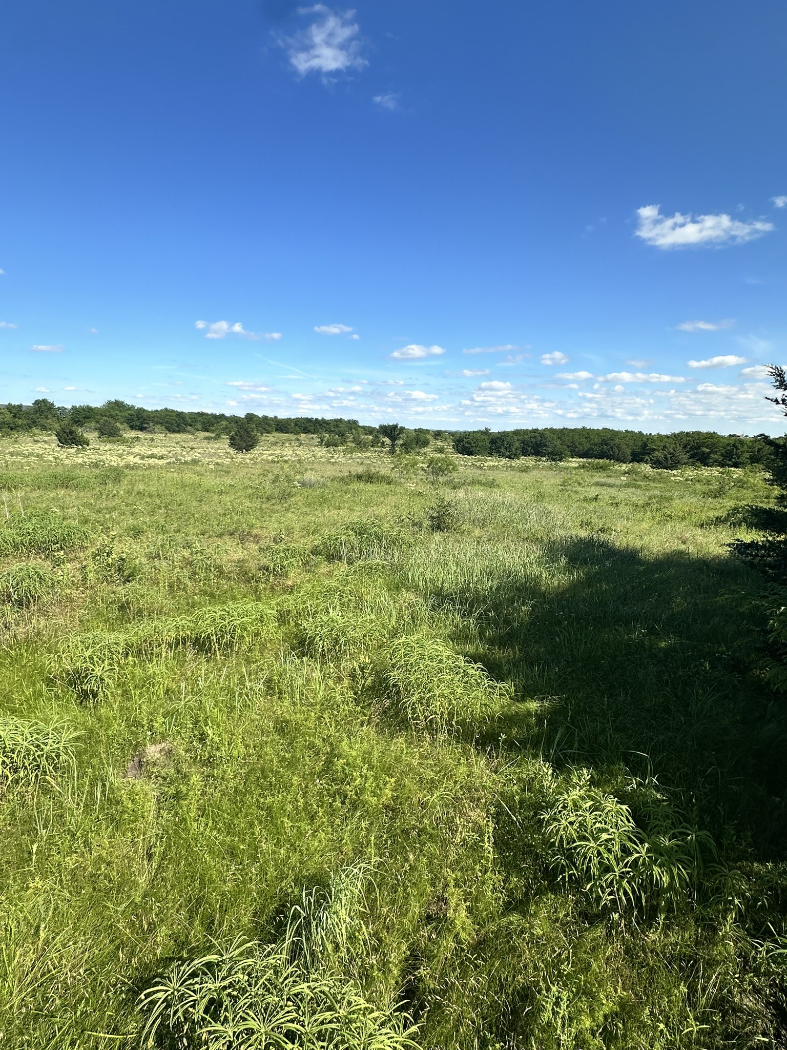 Lot 7 County Road 410