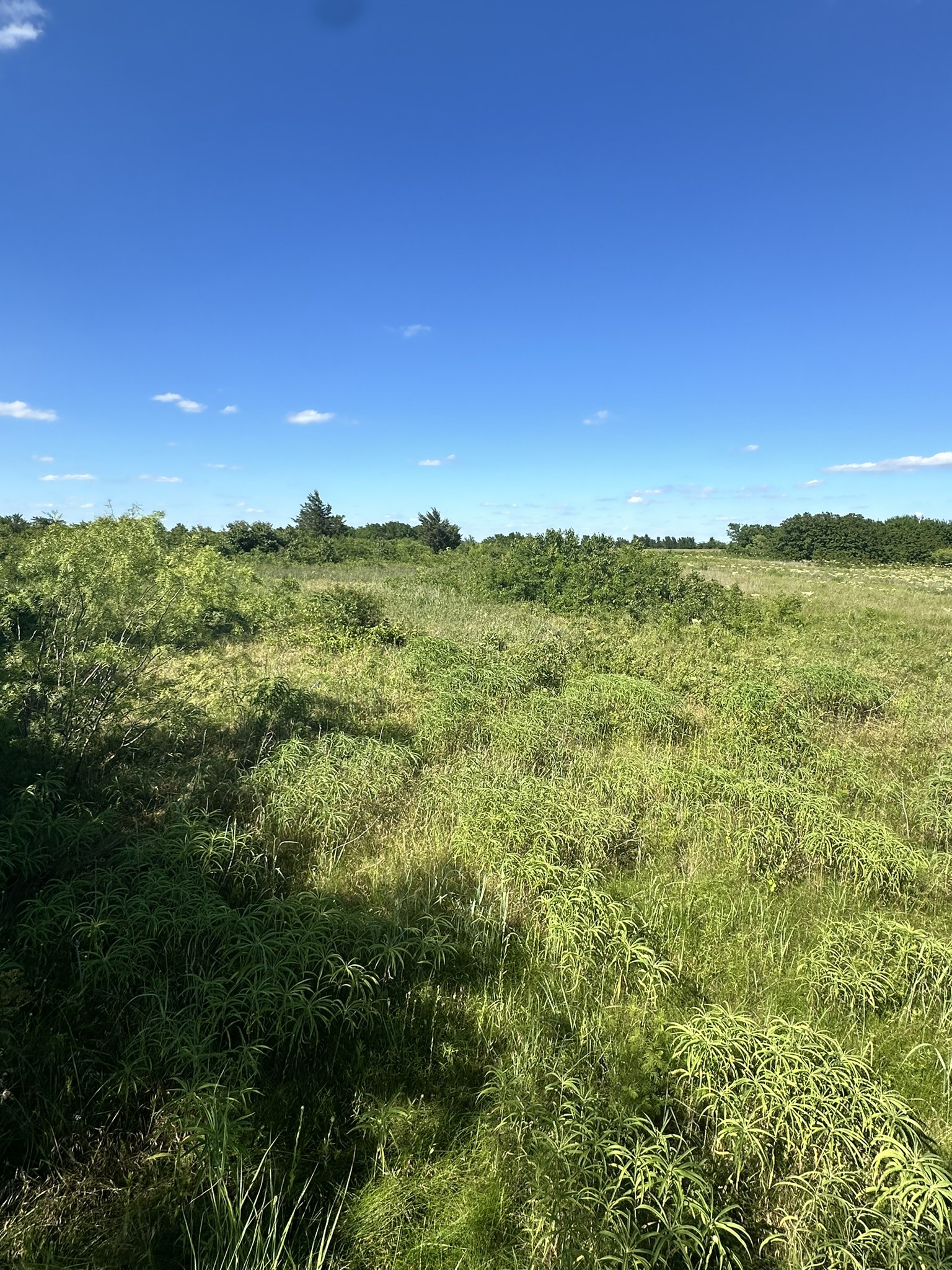 Lot 7 County Road 410
