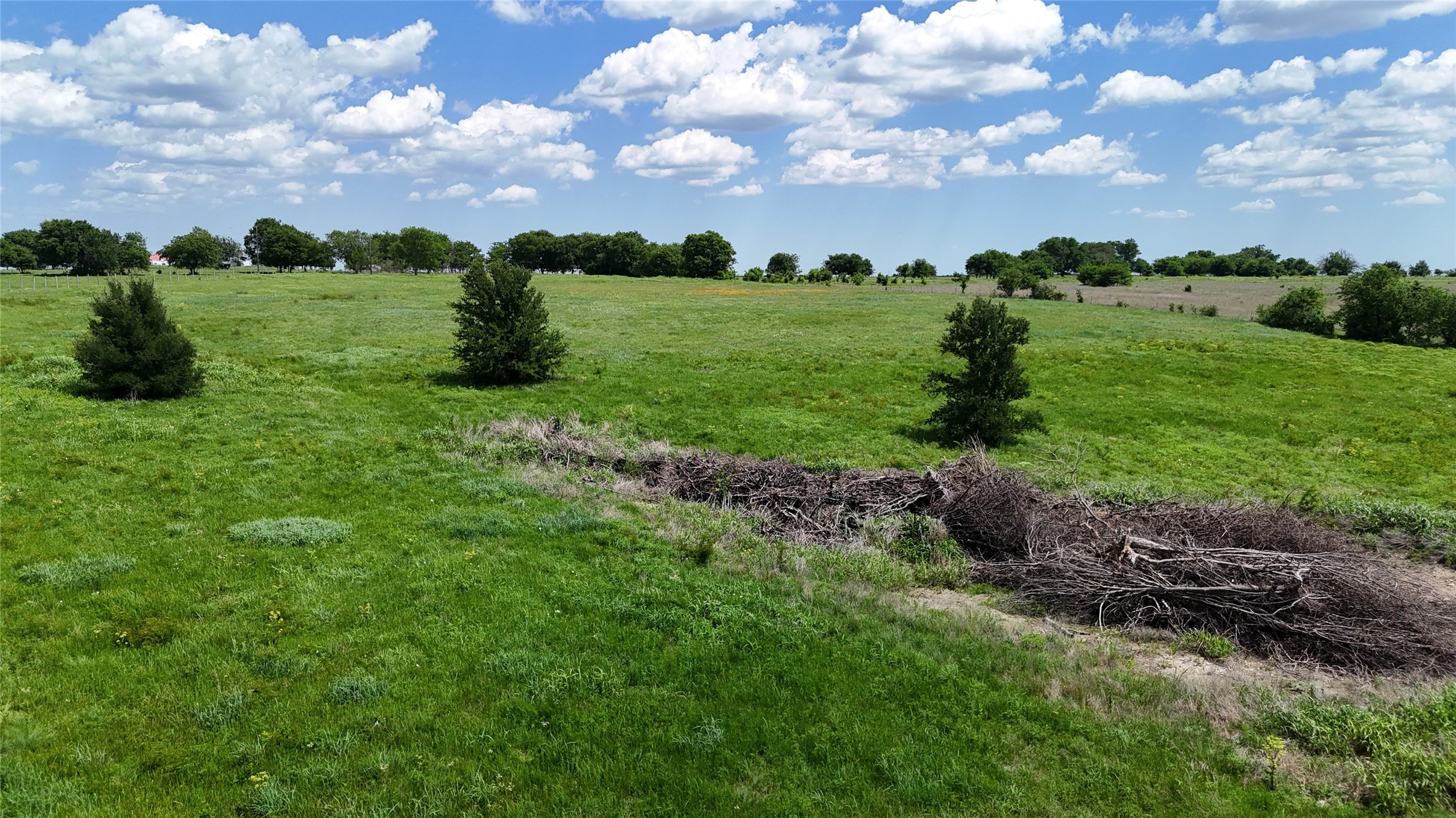 596 County Road 339