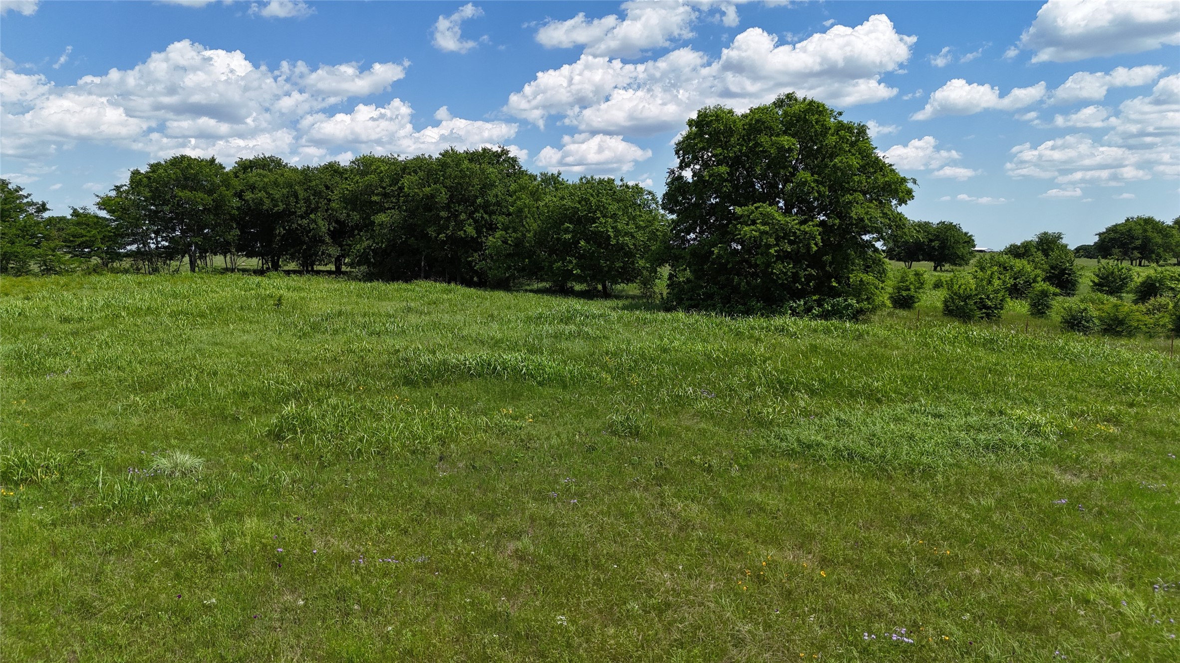 596 County Road 339