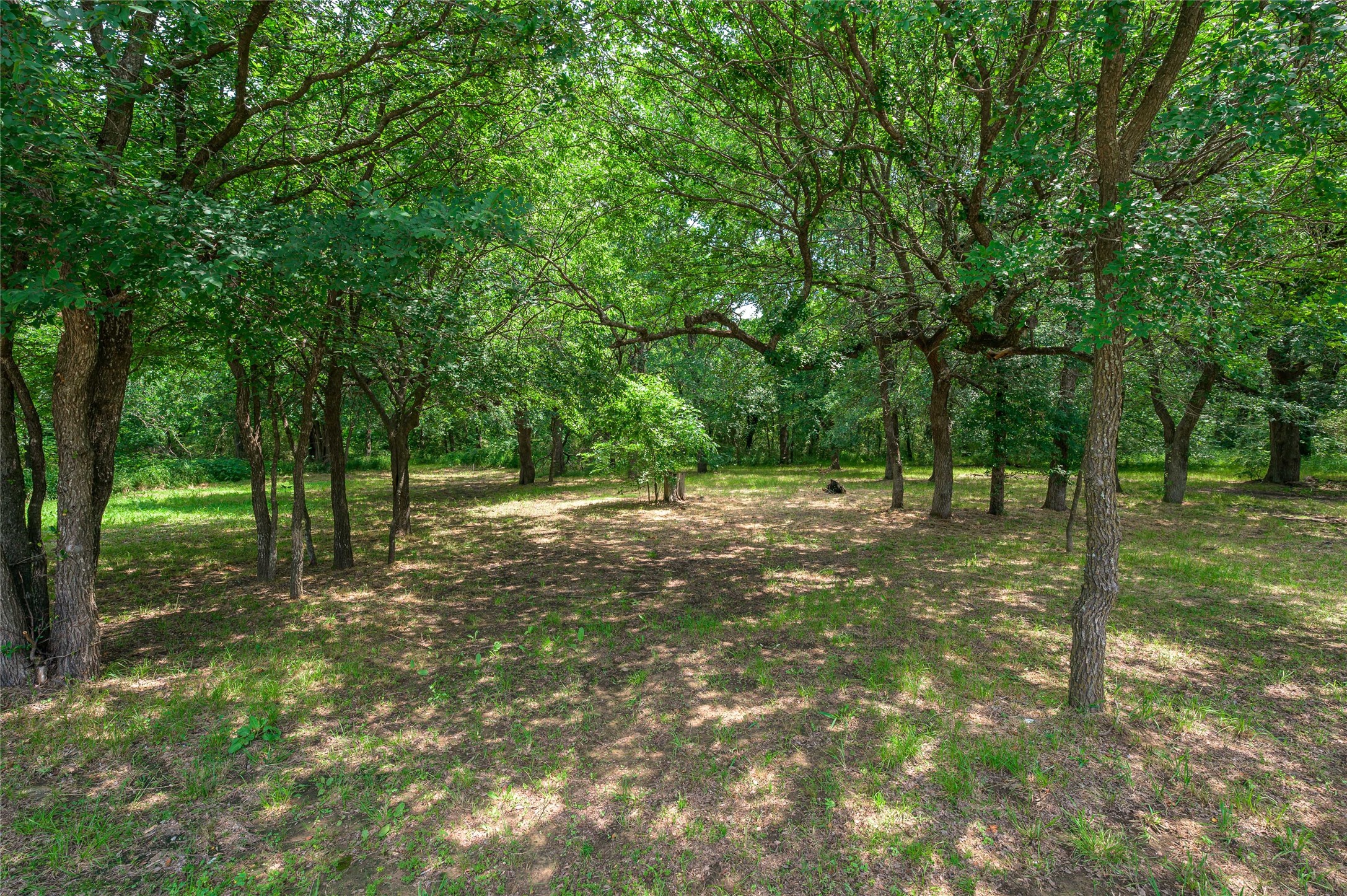 1742 Reynolds Lane