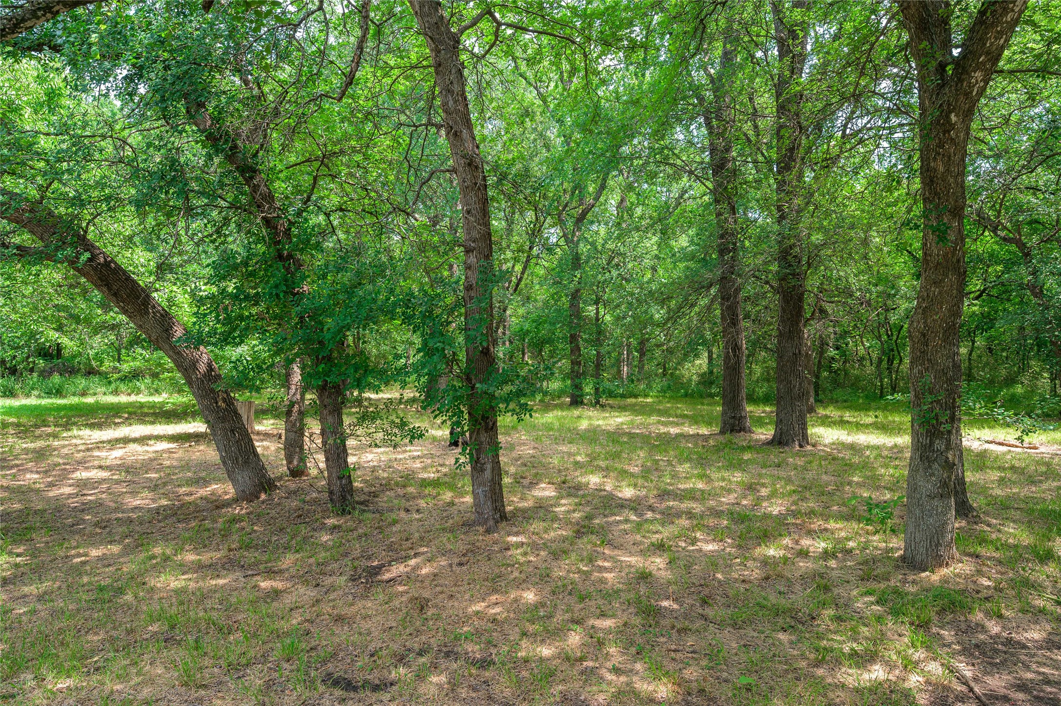 1742 Reynolds Lane