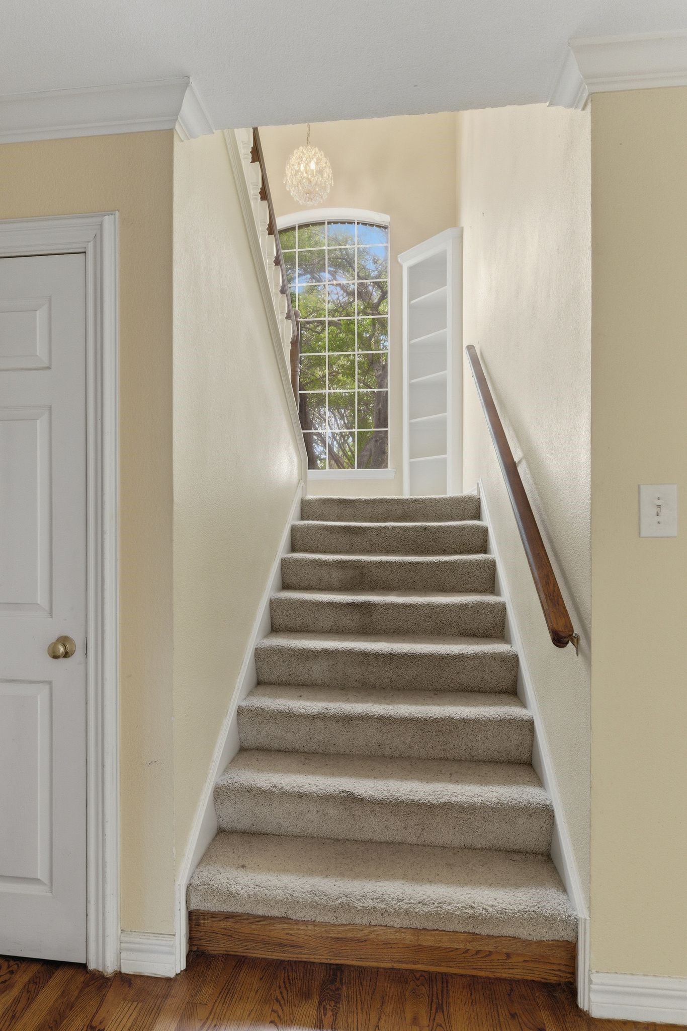 428 Moran Drive