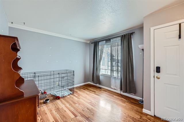 433 Zane Court