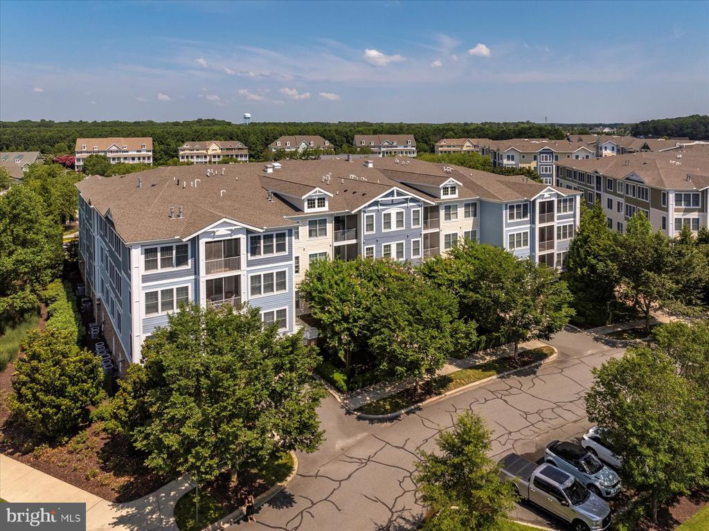 31574 WINTERBERRY PARKWAY 308