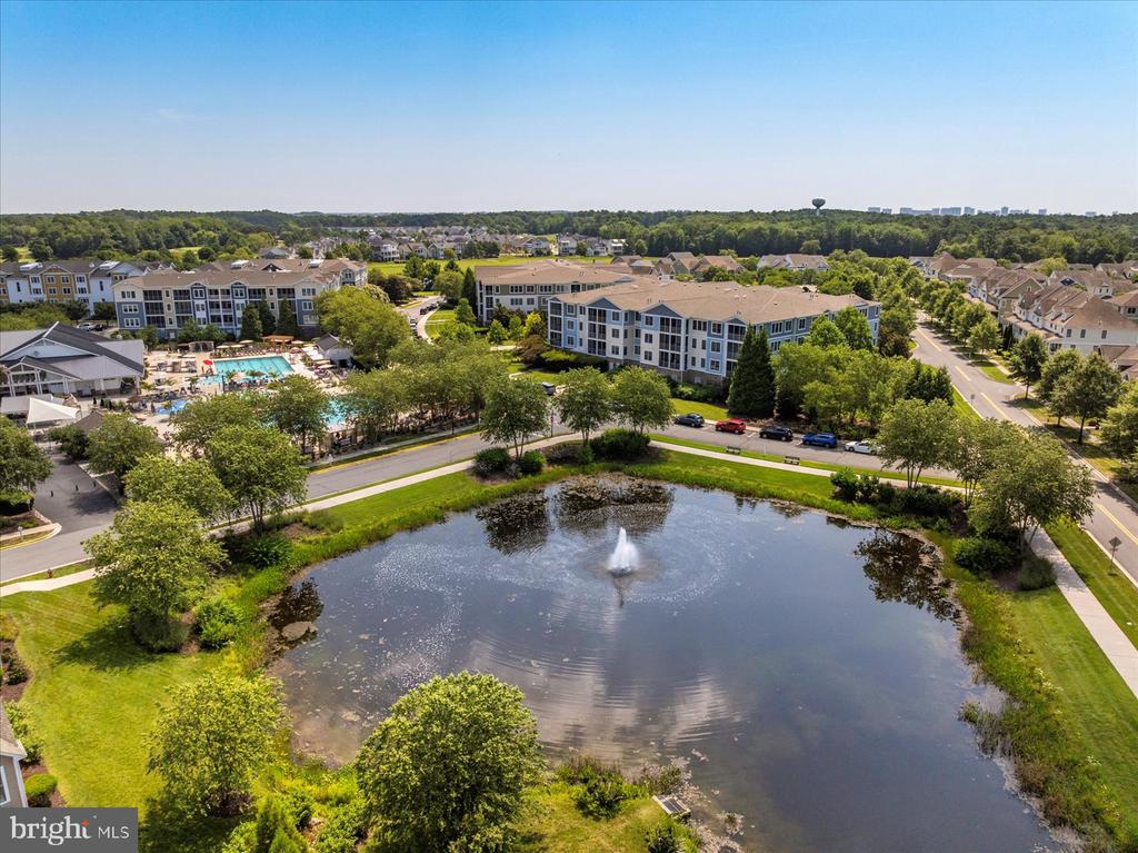 31574 WINTERBERRY PARKWAY 308