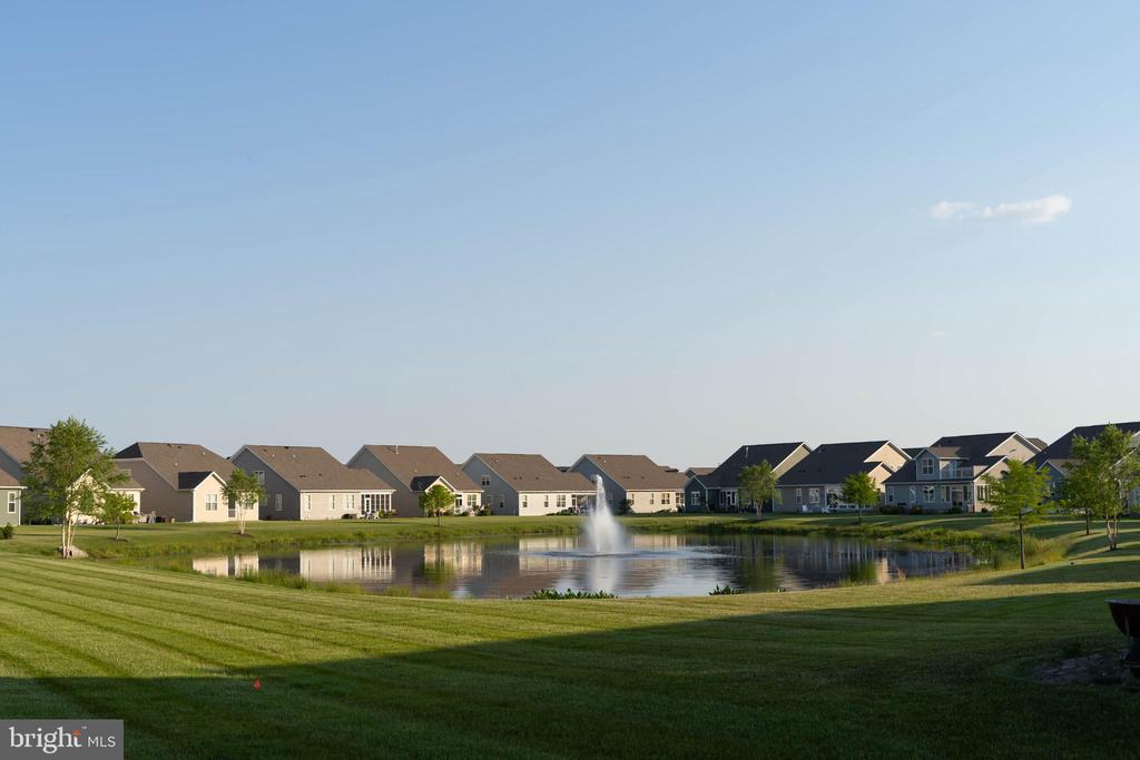 33285 LONE CEDAR LANDING