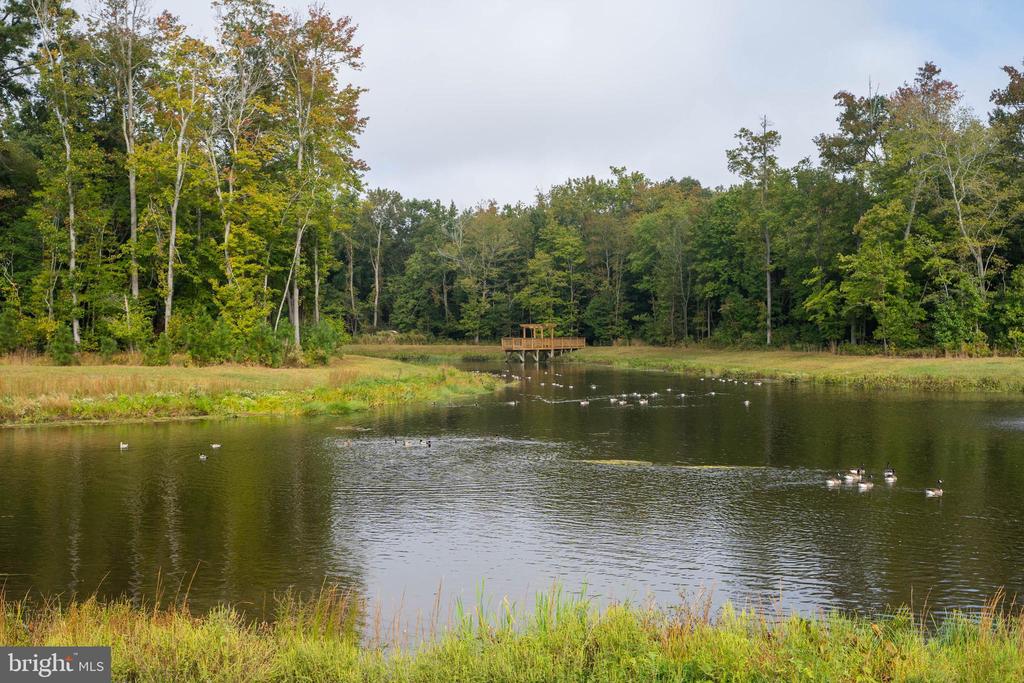 33285 LONE CEDAR LANDING