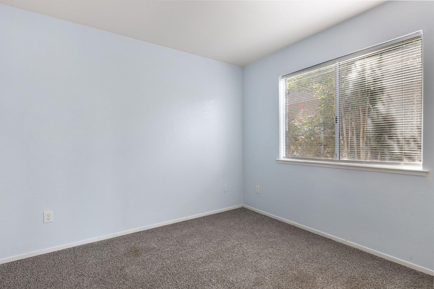 1355 Windemere Court