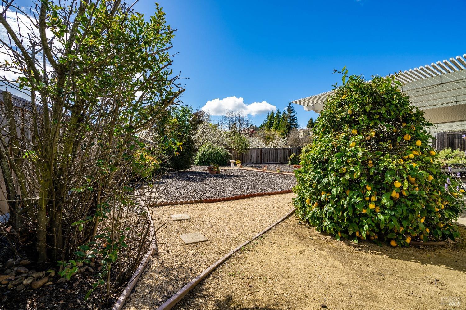 560 Daffodil Dr