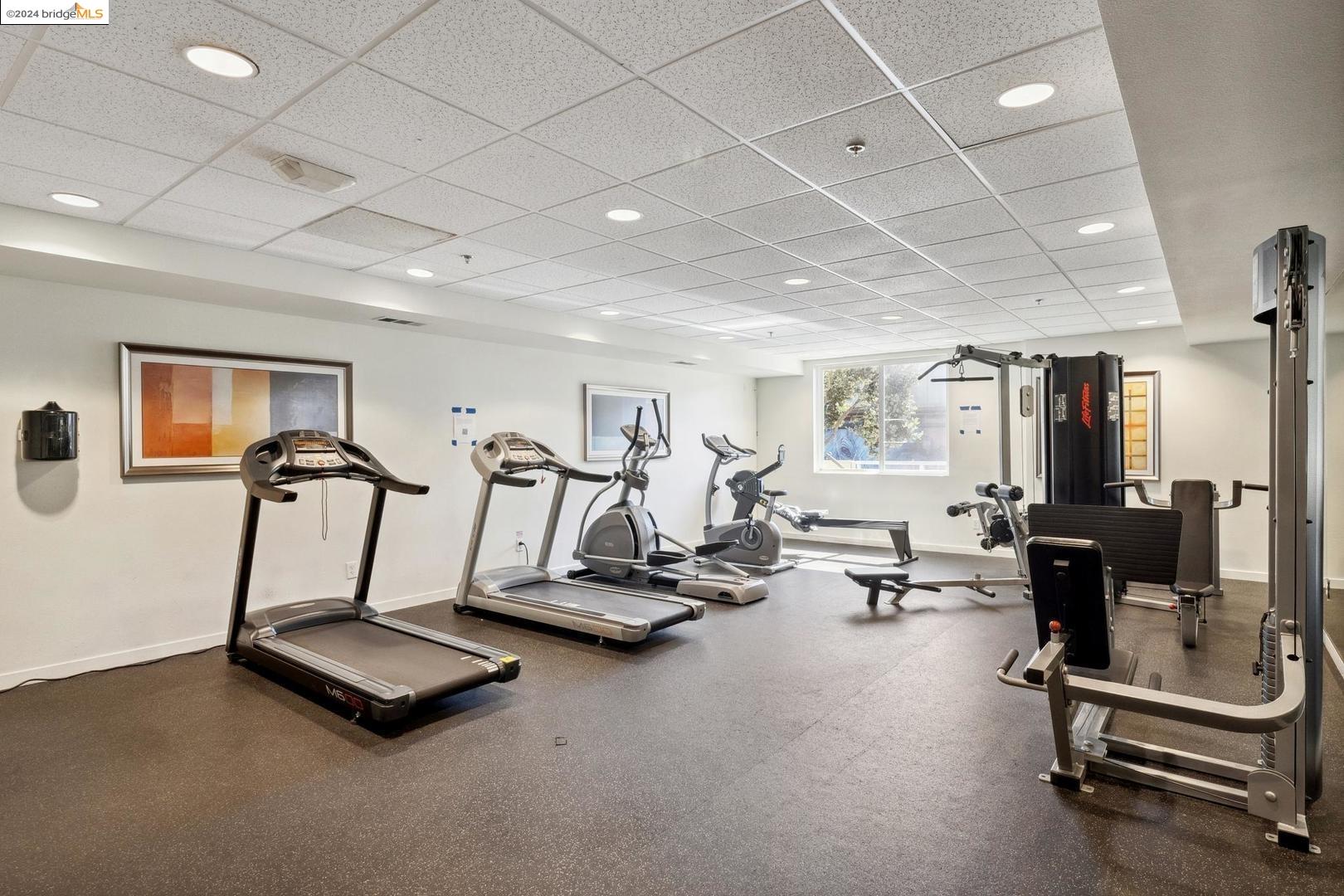 3090 Glascock ST APT 207