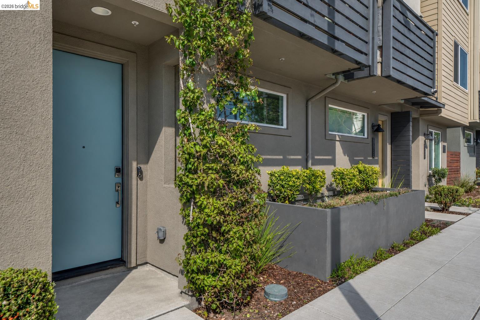 Modern residence entrance with a blue door, landscaped planter, and upper balcony.