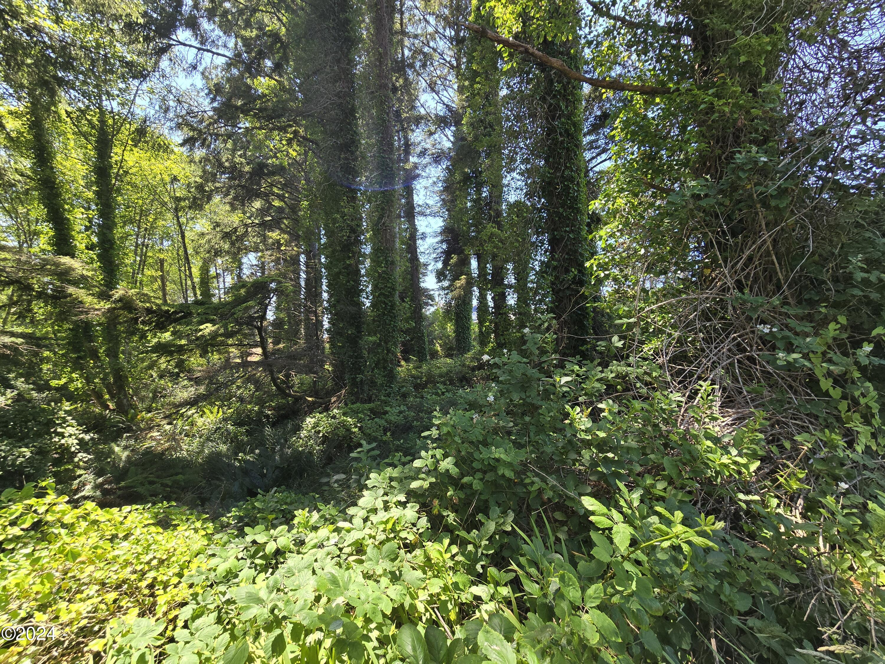 TL13505 SW Coast Avenue