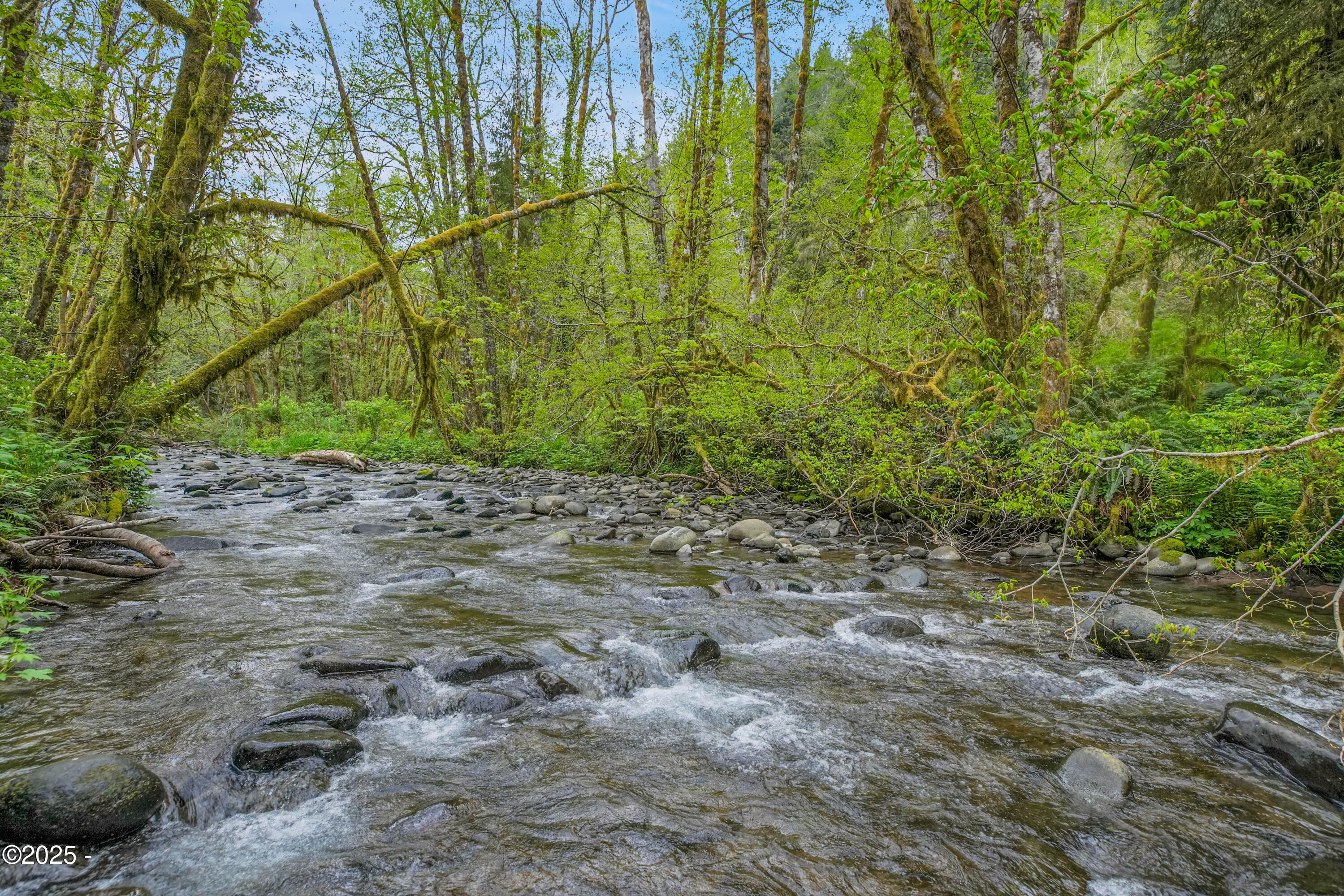 230 N New Bridge Road