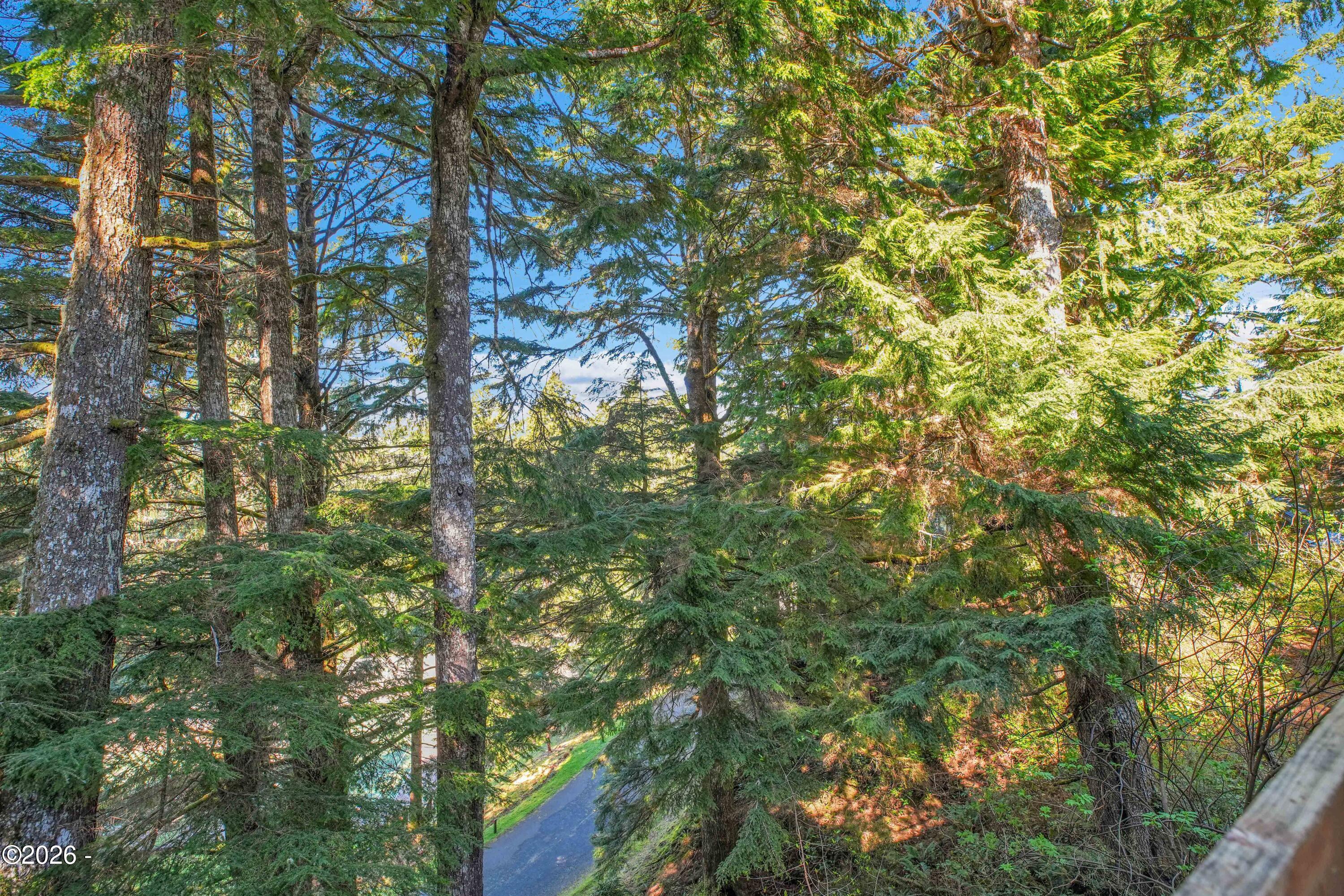 527 Eagles Nest Lane