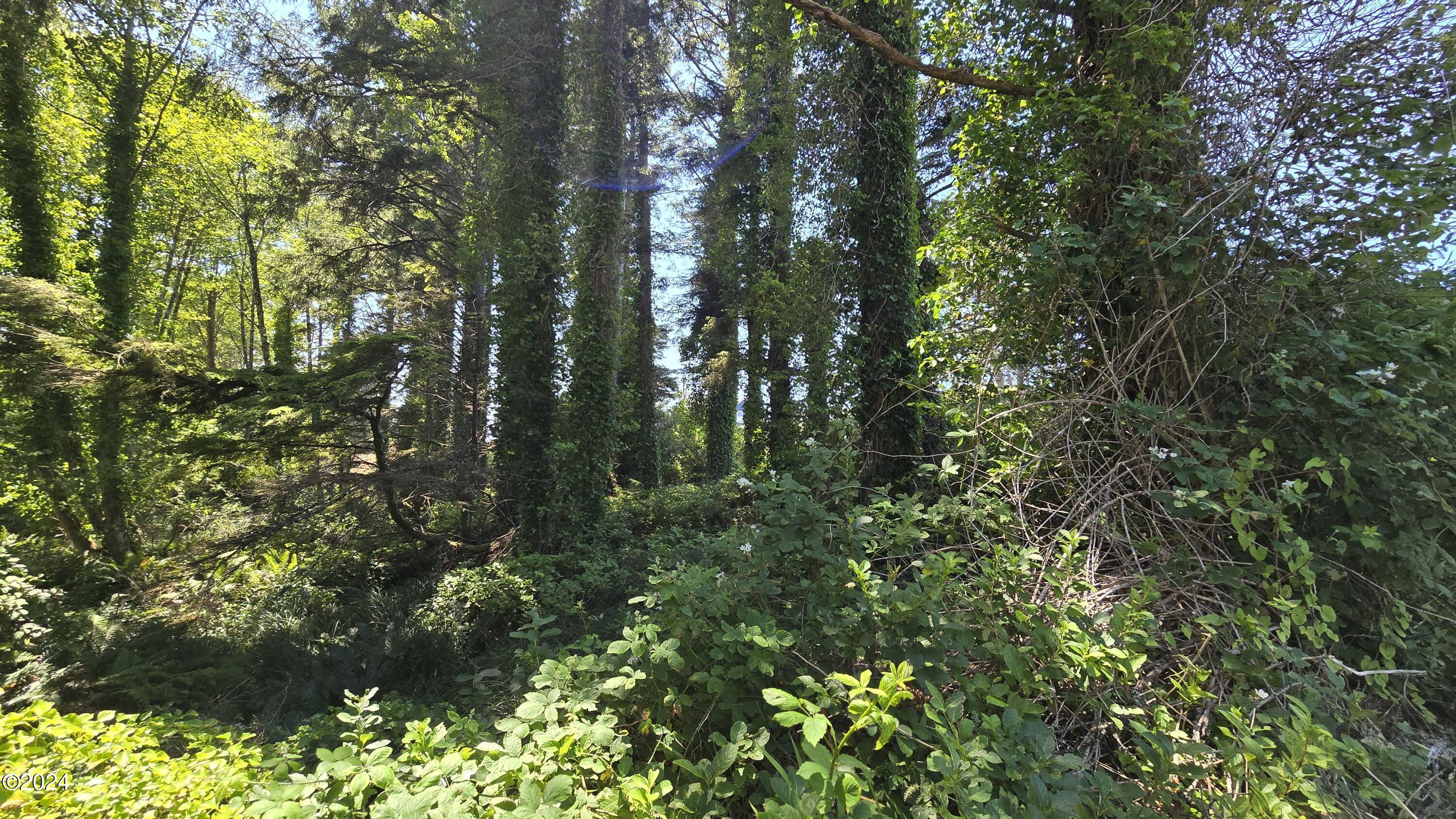 TL13505 SW Coast Avenue