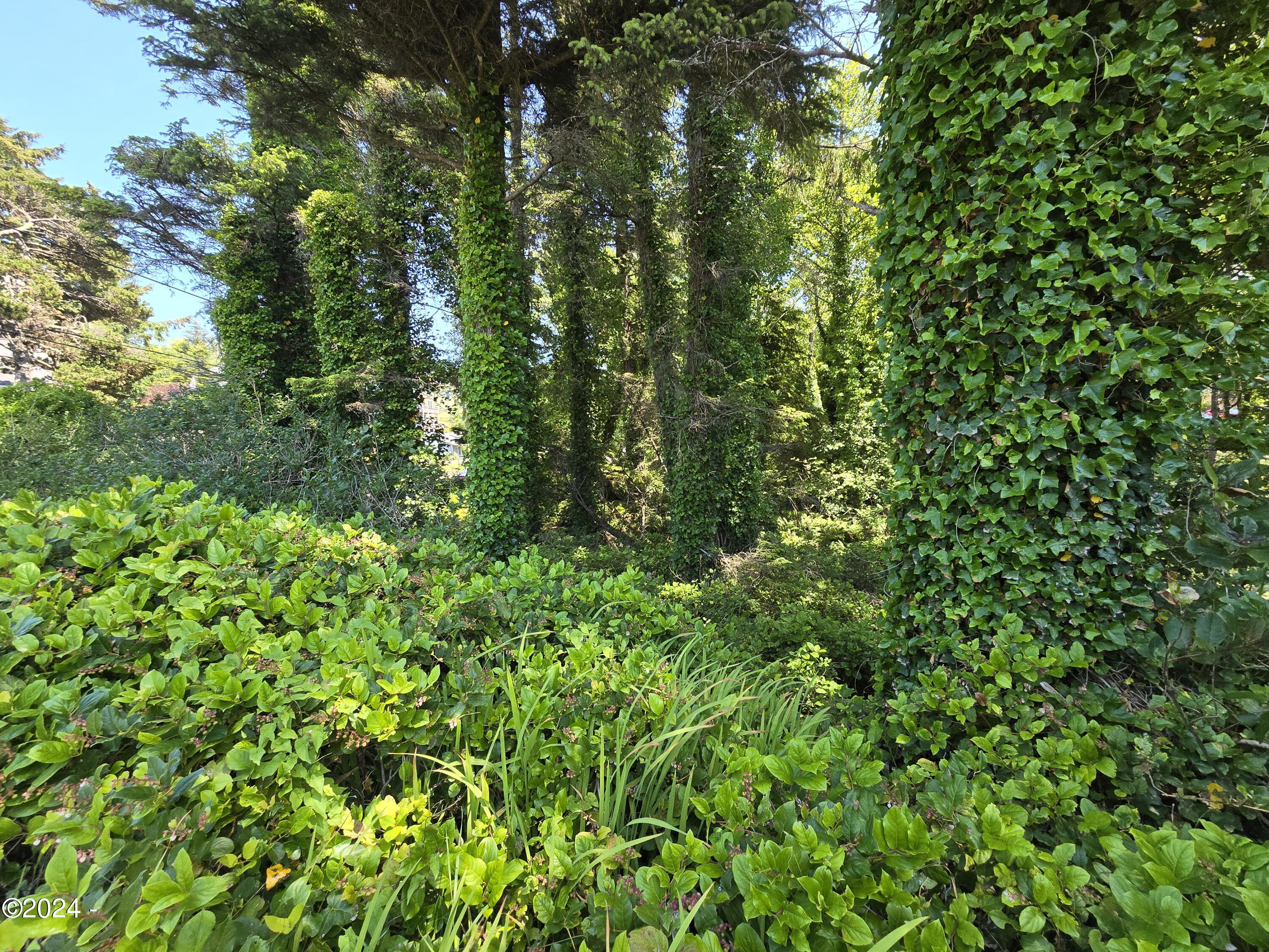 TL13505 SW Coast Avenue