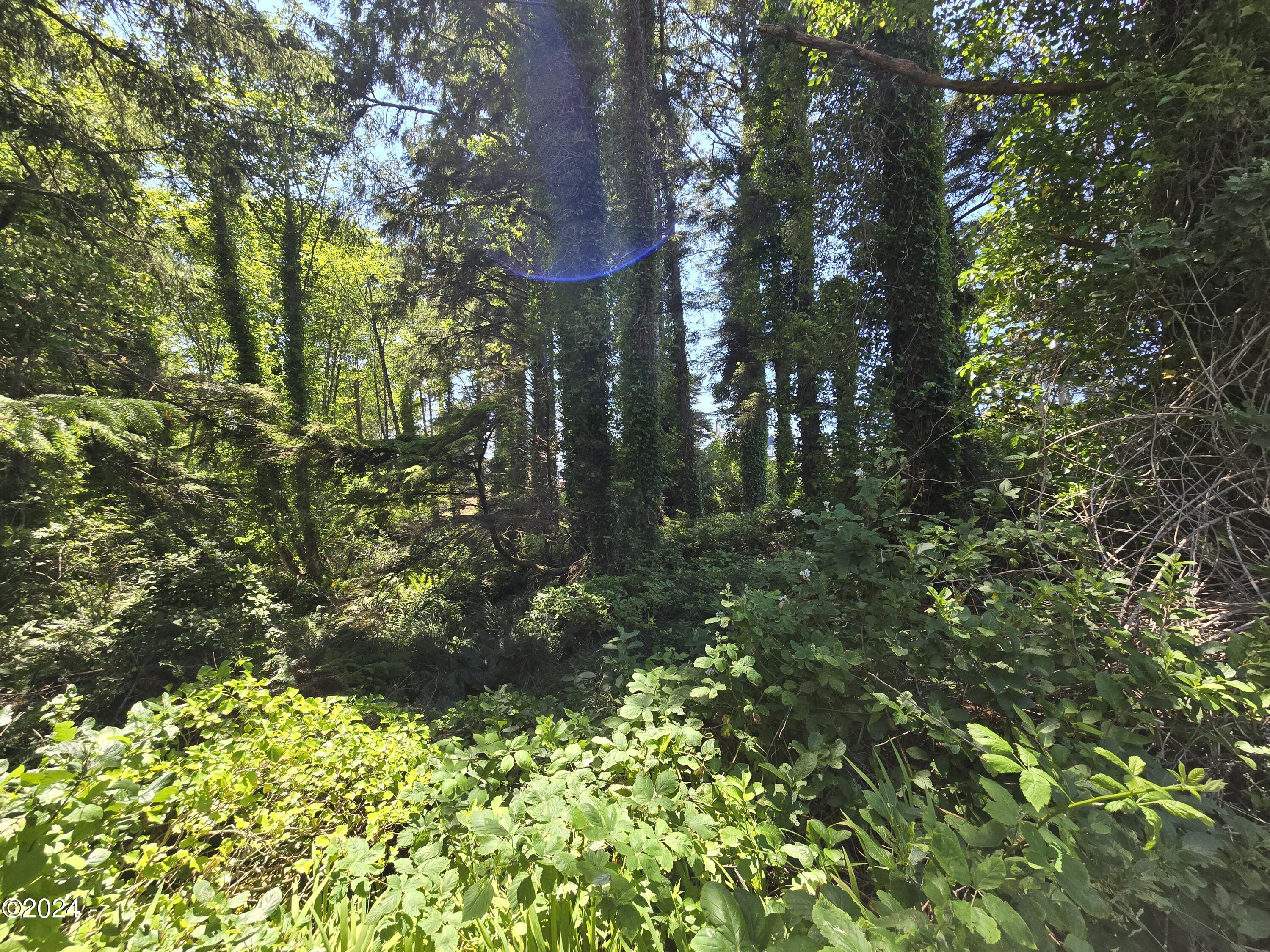 TL13505 SW Coast Avenue