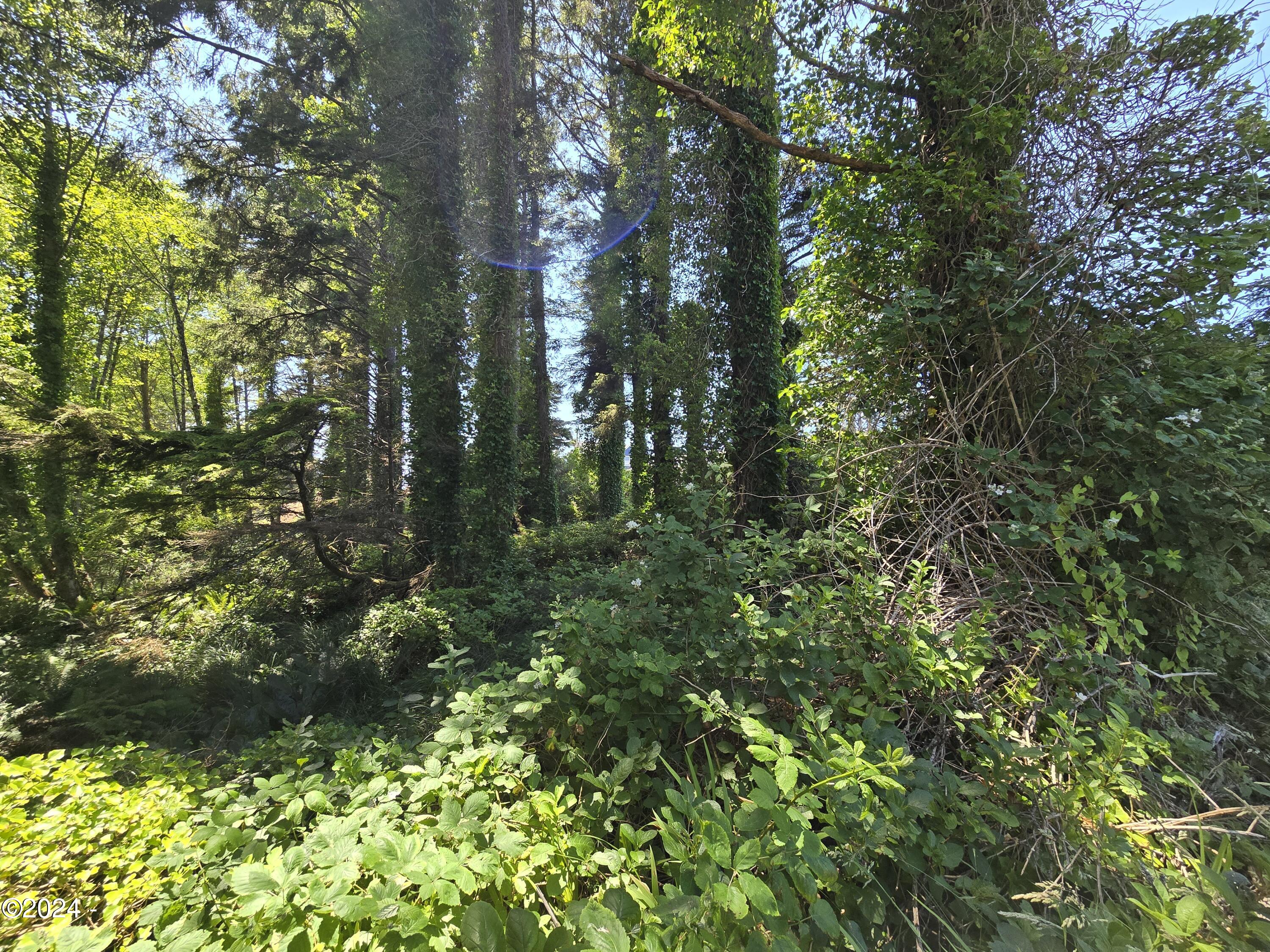 TL13505 SW Coast Avenue