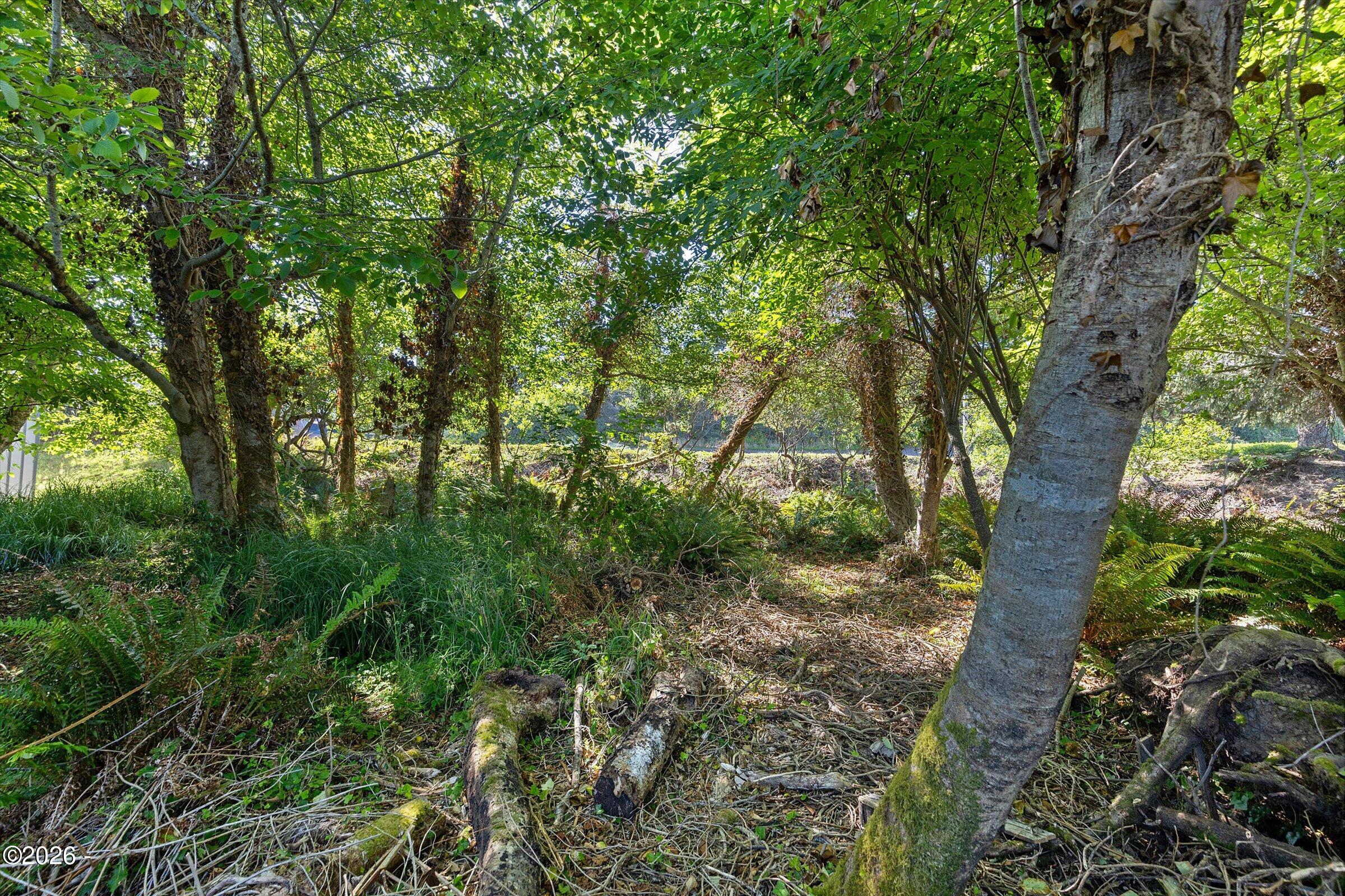296 NE Highway 101
