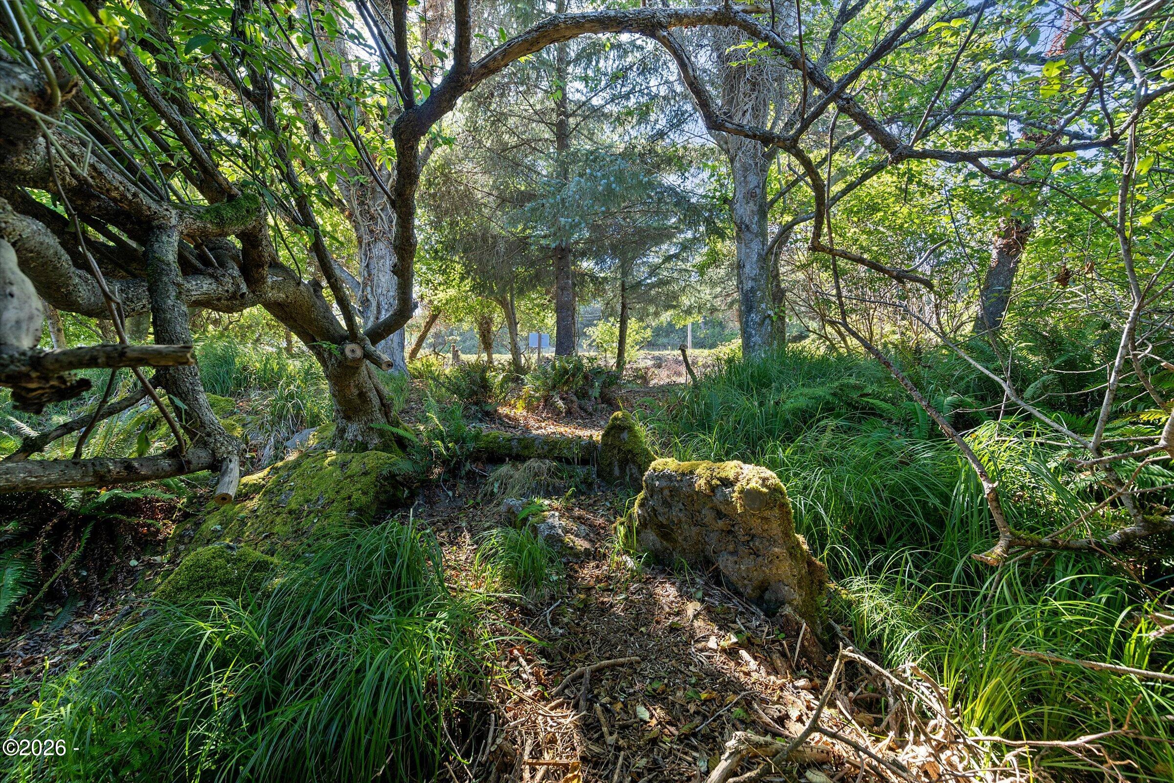 296 NE Highway 101