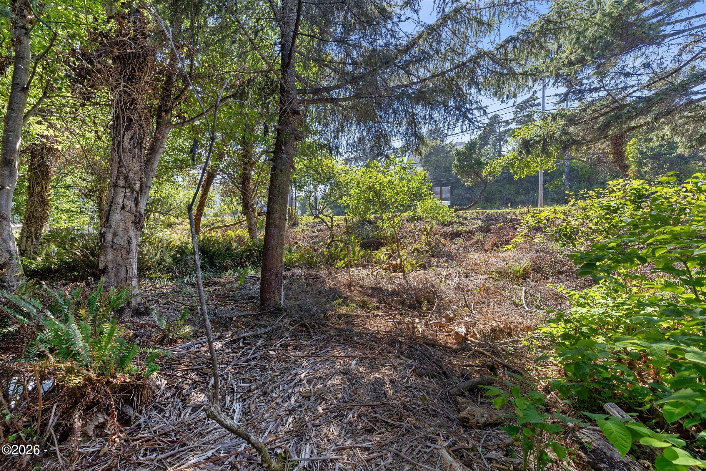 296 NE Highway 101