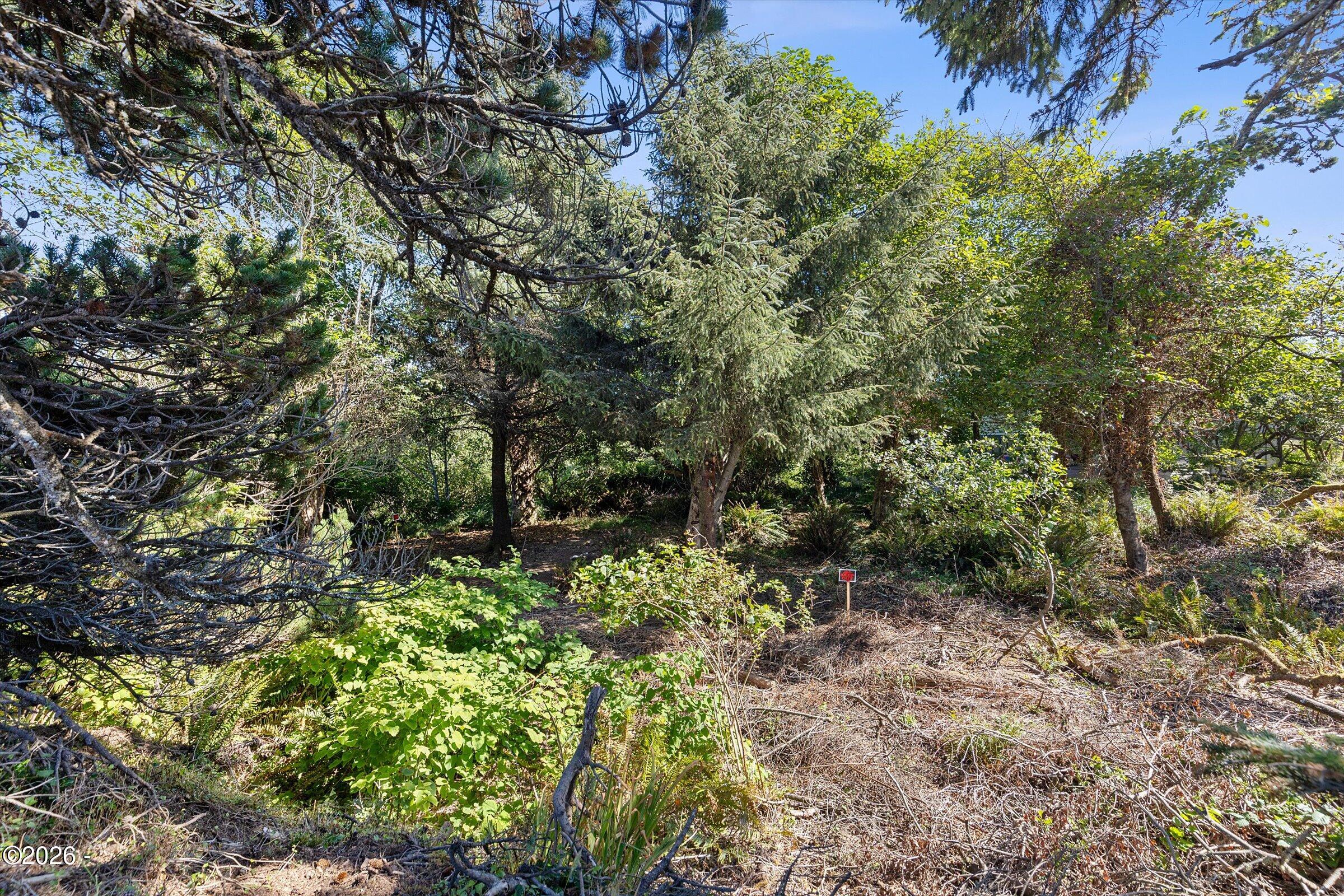 296 NE Highway 101