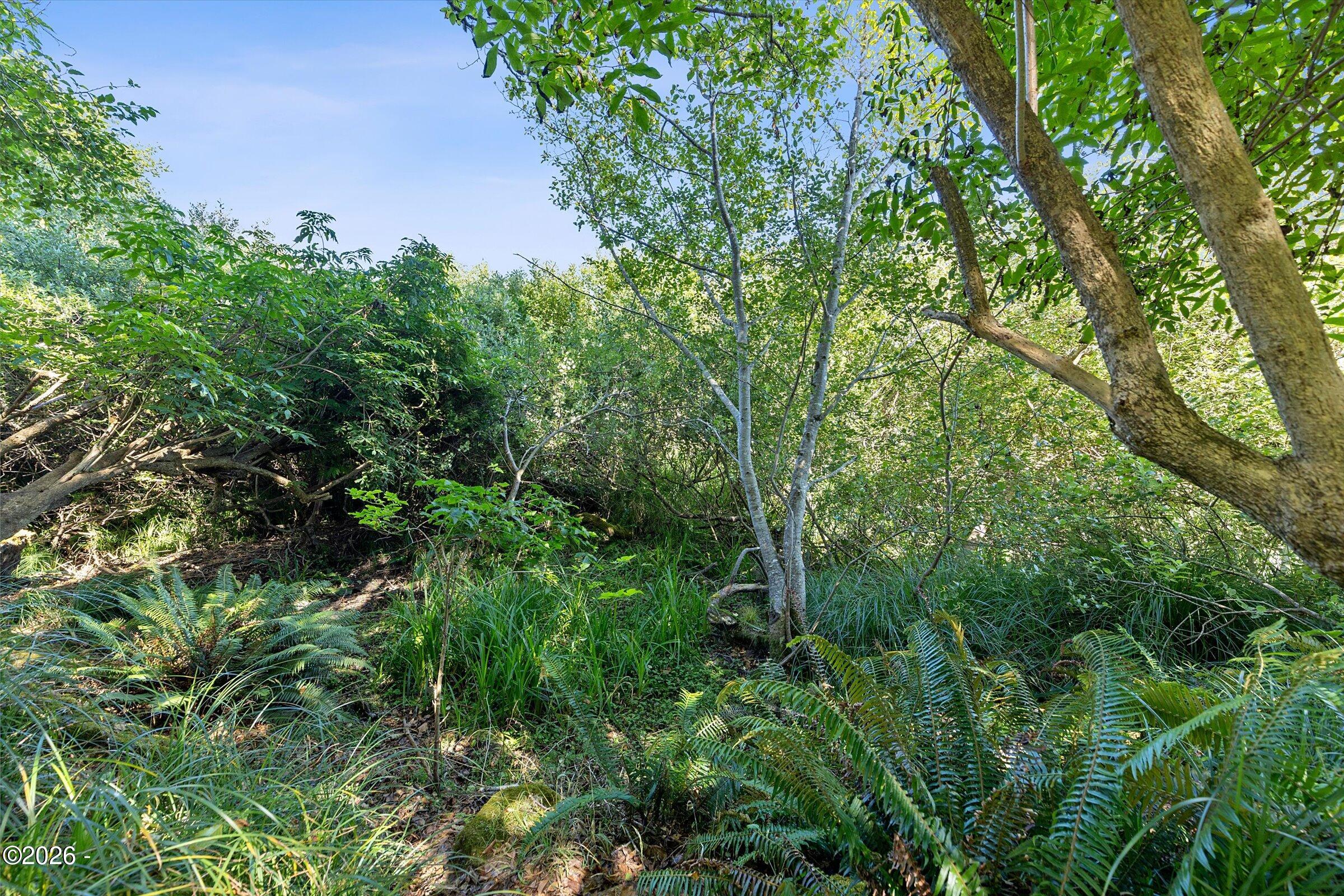 296 NE Highway 101