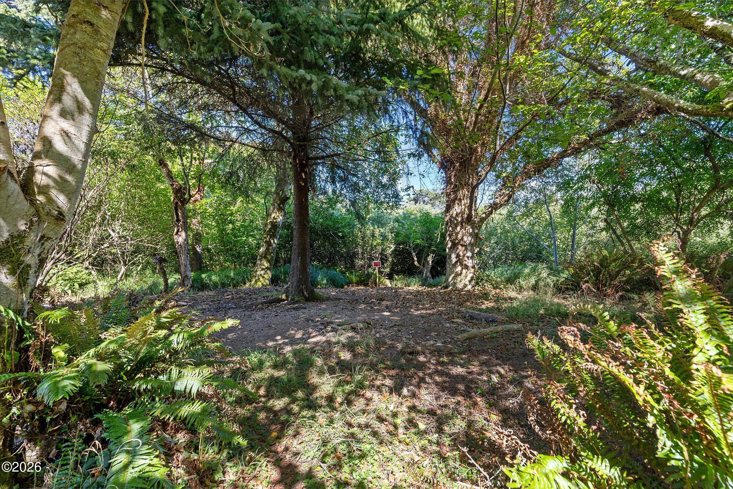 296 NE Highway 101