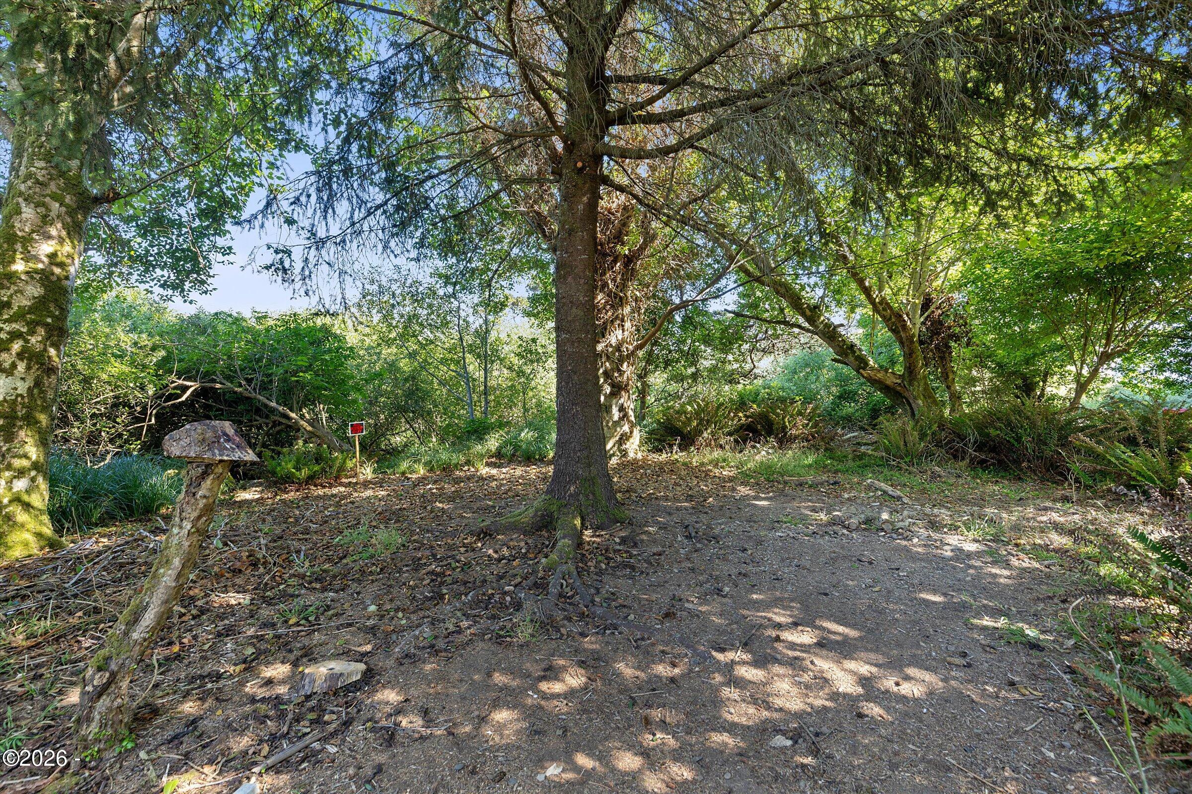 296 NE Highway 101