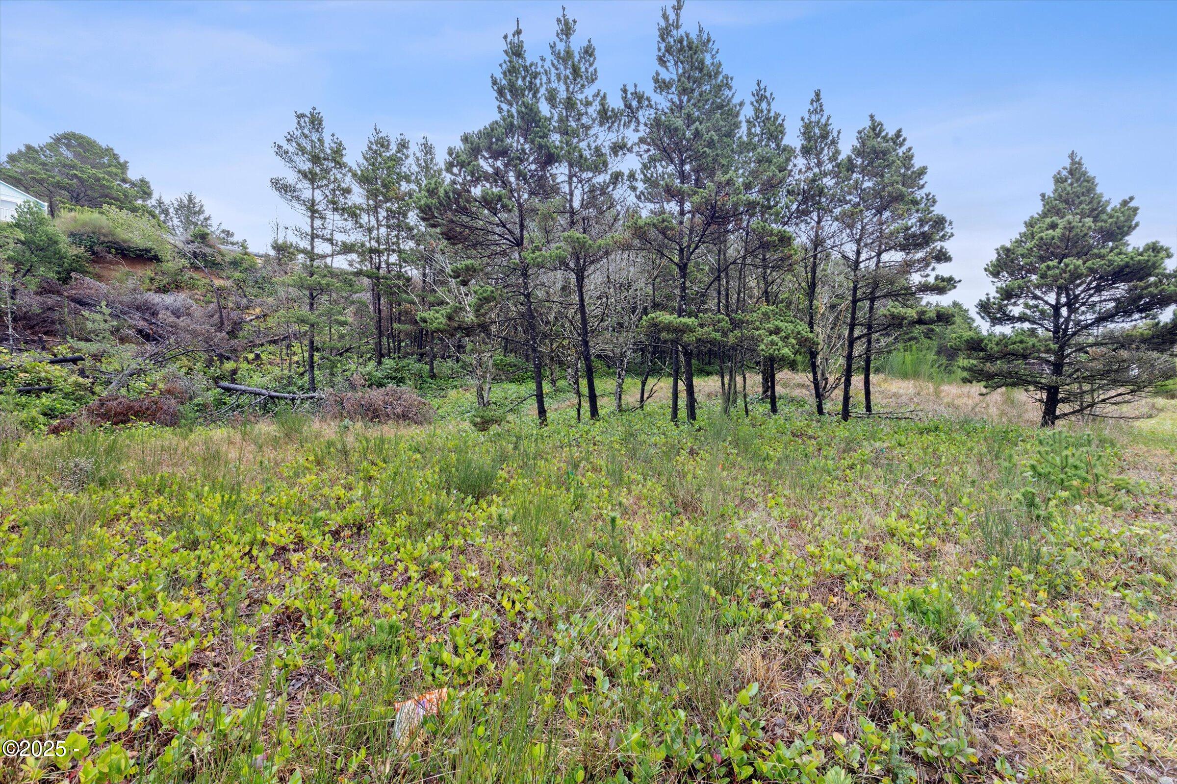 3500 Blk SE Highway 101