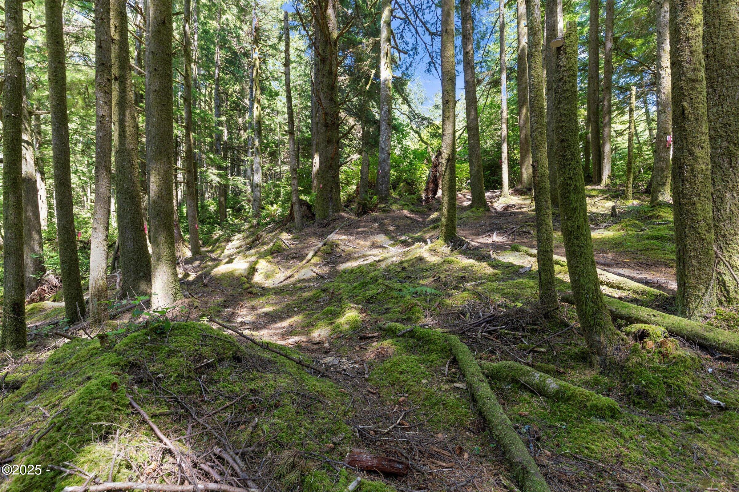 2240 SE Highway 101/1423 SE 23rd Dr