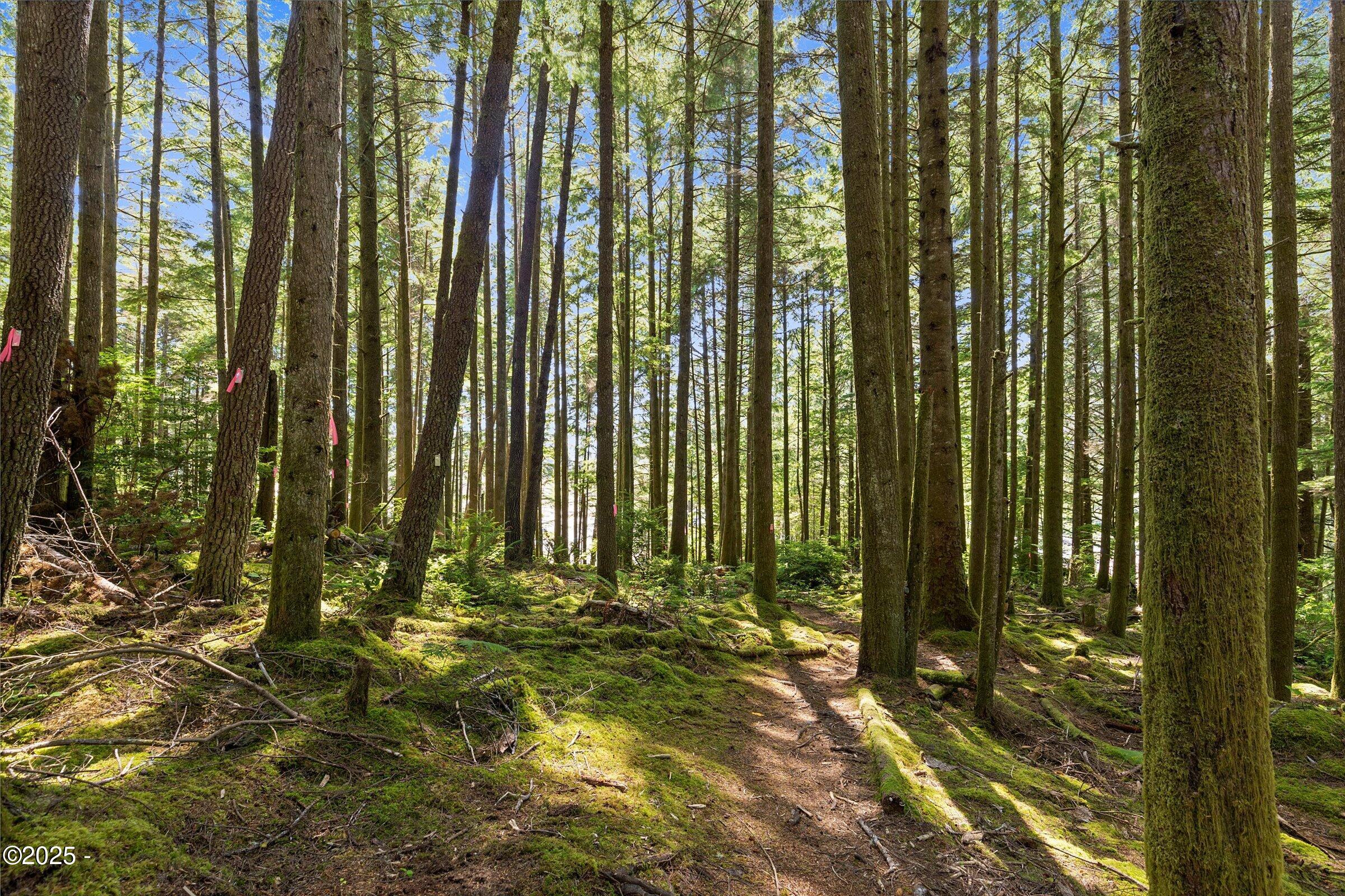 2240 SE Highway 101/1423 SE 23rd Dr